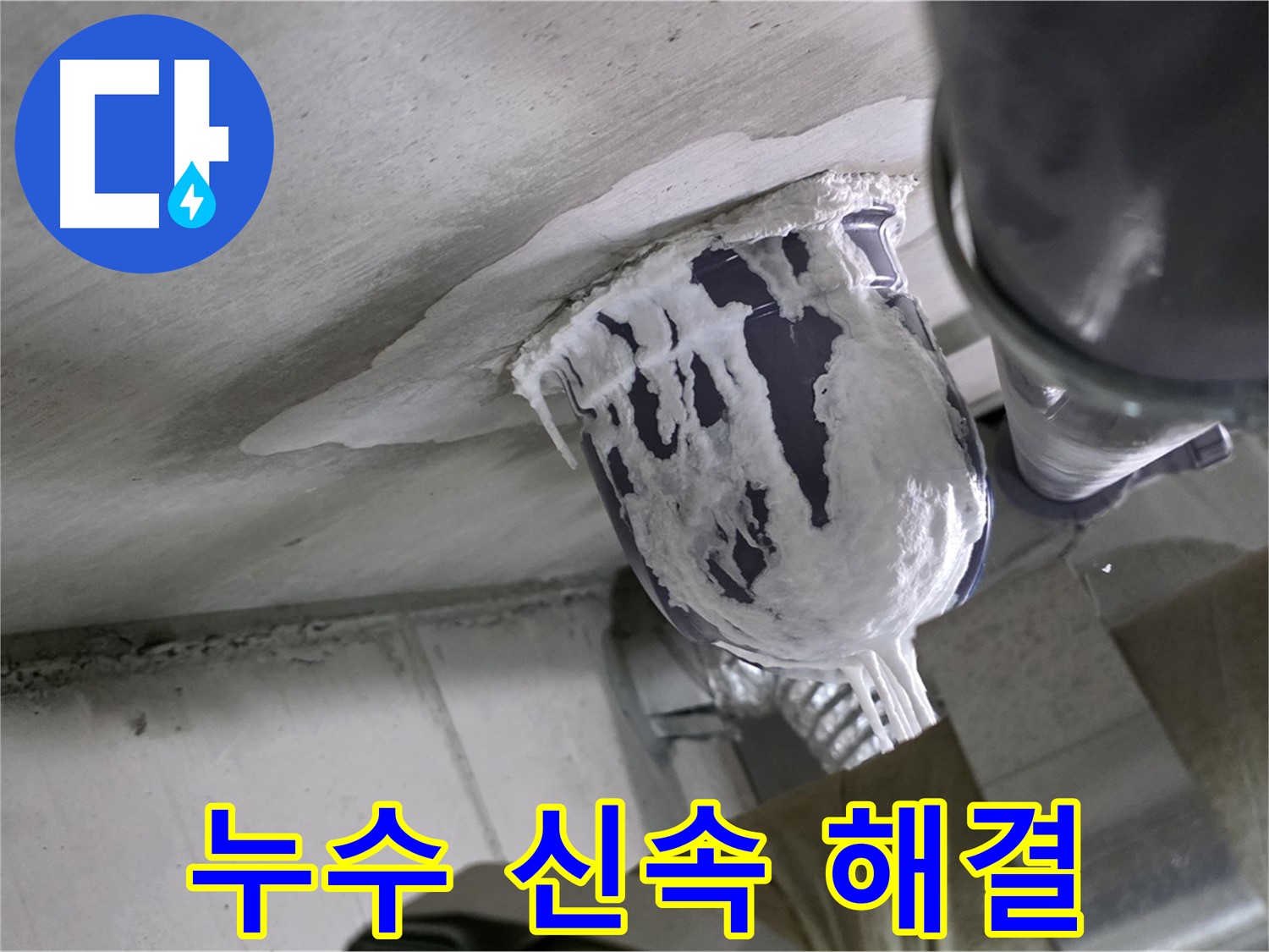 분당 운중동 산운마을 - 빠른 누수 해결로 고객 불편 최소화 완료