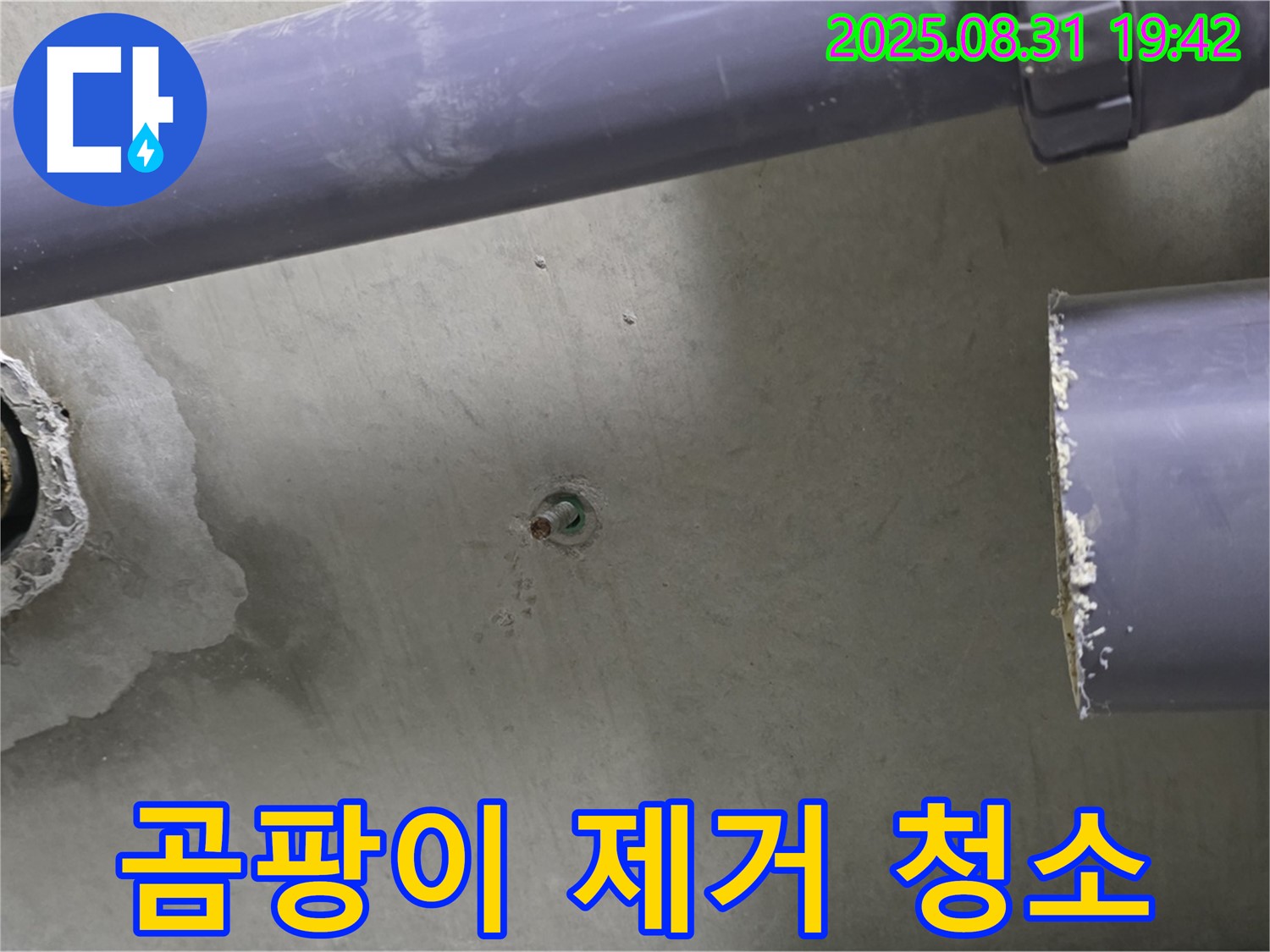 분당 운중동 산운마을 아파트 누수 - 배관 주변의 곰팡이를 제거하고 깨끗하게 청소하고 있습니다.