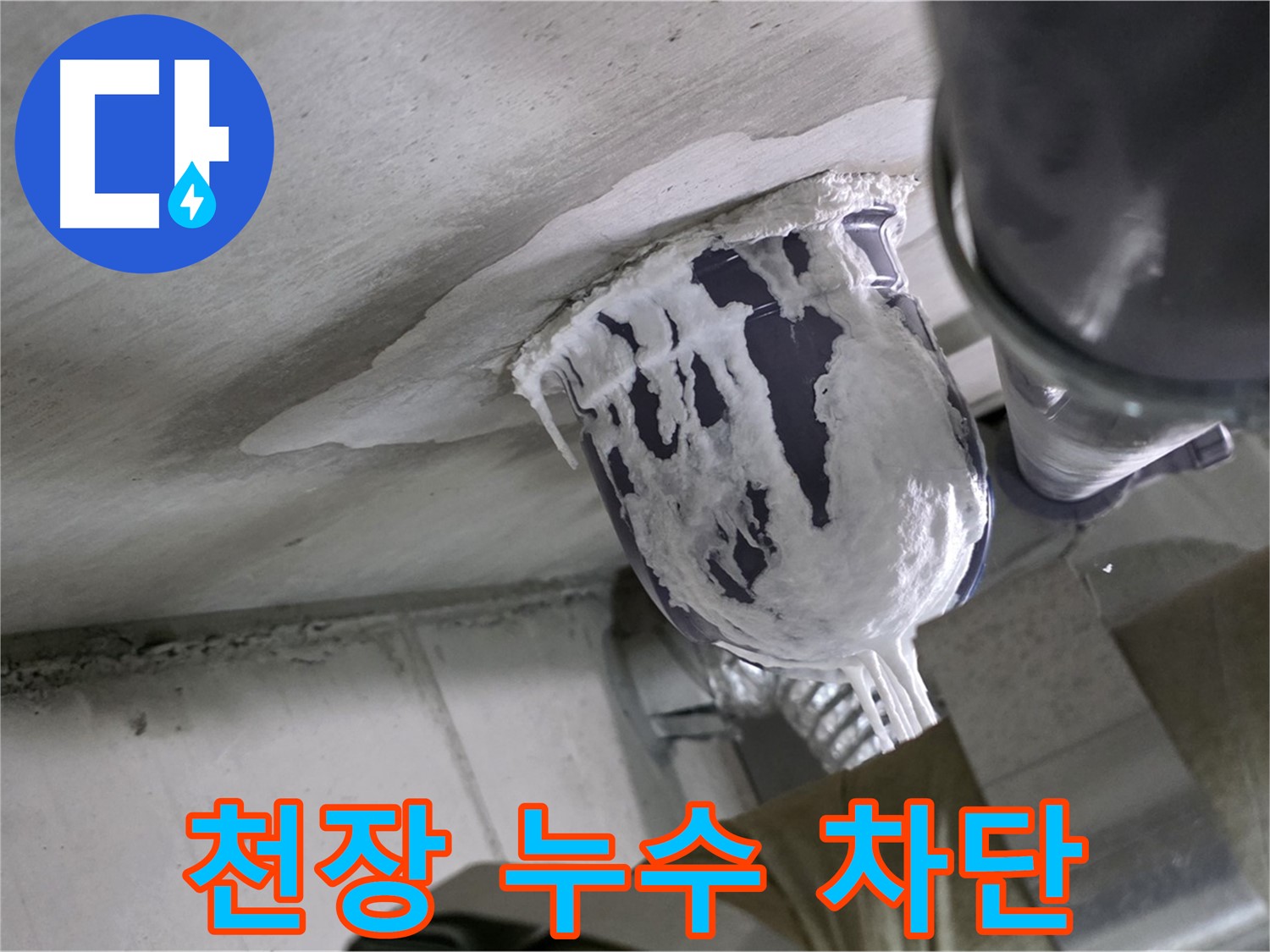 분당 운중동 산운마을 - 천장 누수, 완벽하게 차단 완료