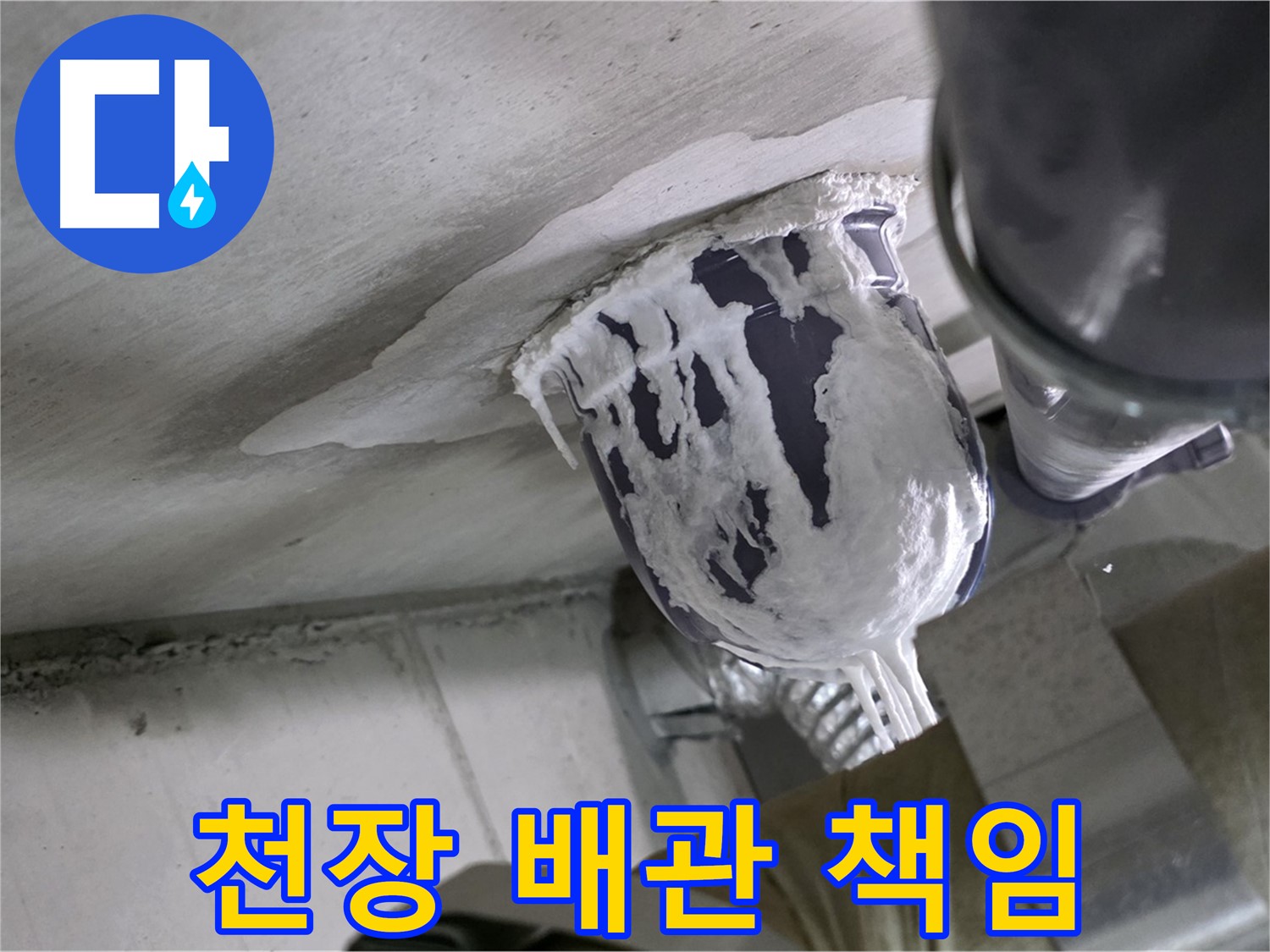 분당 운중동 산운마을 - 천장 배관 누수, 완벽 차단 책임 시공 완료
