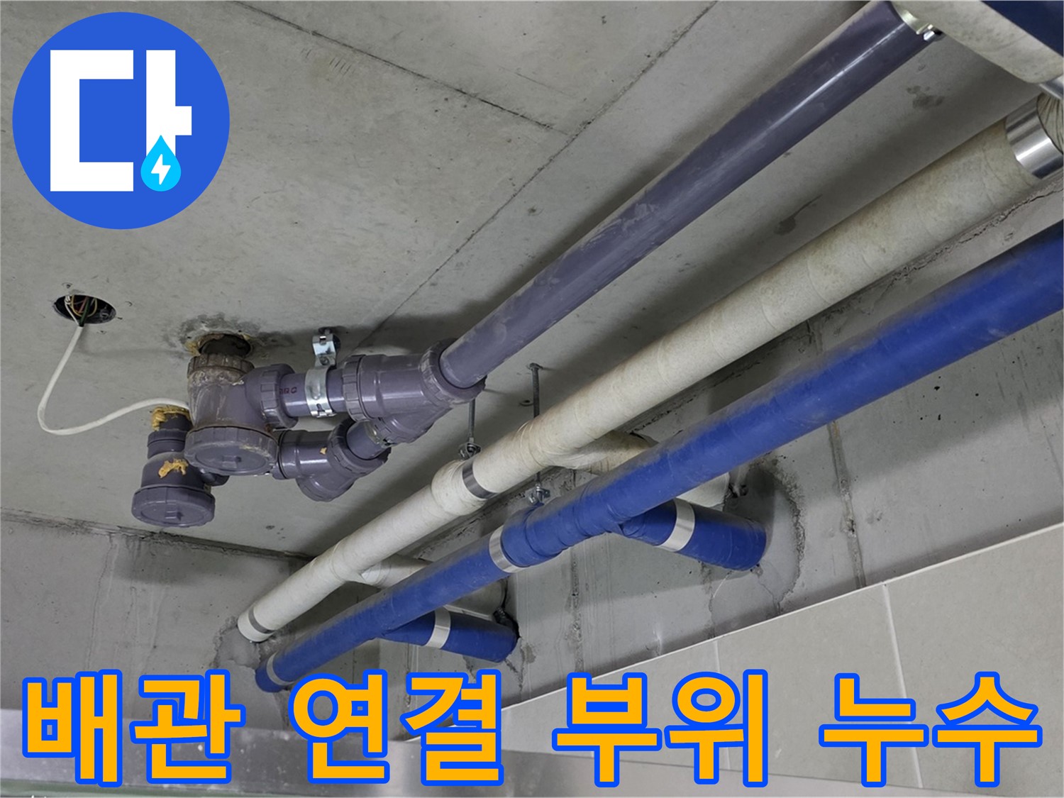 분당 운중동 상가 배관 연결 부위 누수 - 정확한 위치 파악 및 보수