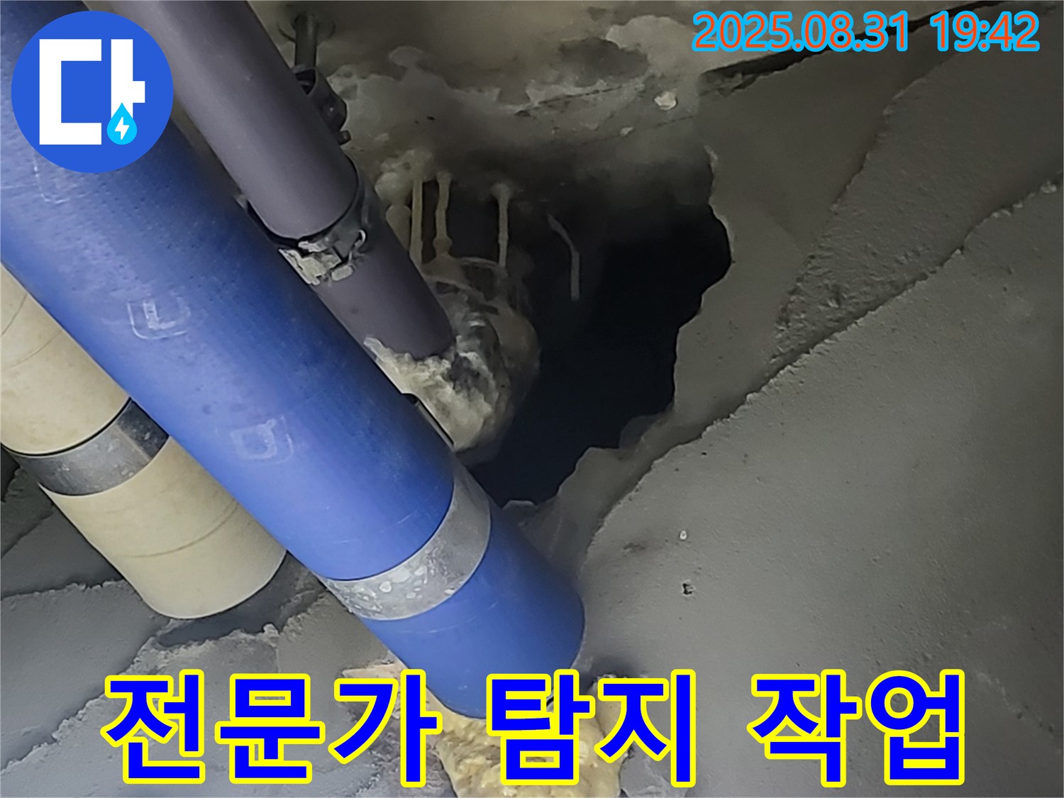 분당 운중동 - 옛주소 백현동 산운마을 6단지 아파트 누수 - 숙련된 전문가가 누수 탐지 작업을 진행하고 있습니다.