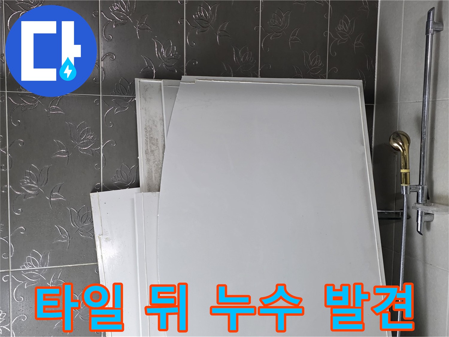 분당 운중동 욕실 - 타일 뒤에 숨어있던 벽면 누수 발견 - 꼼꼼한 탐지가 중요