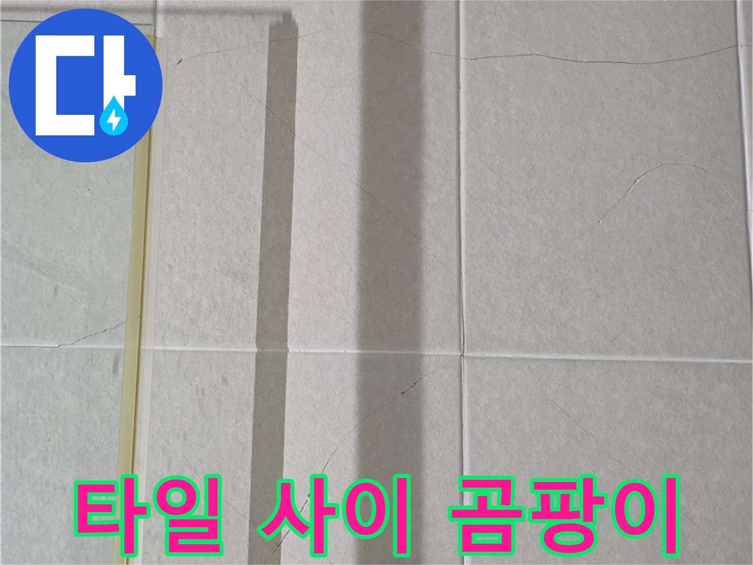 분당구 운중동 산운마을 샤워부스 - 벽면 타일 사이 곰팡이 발생으로 인한 누수