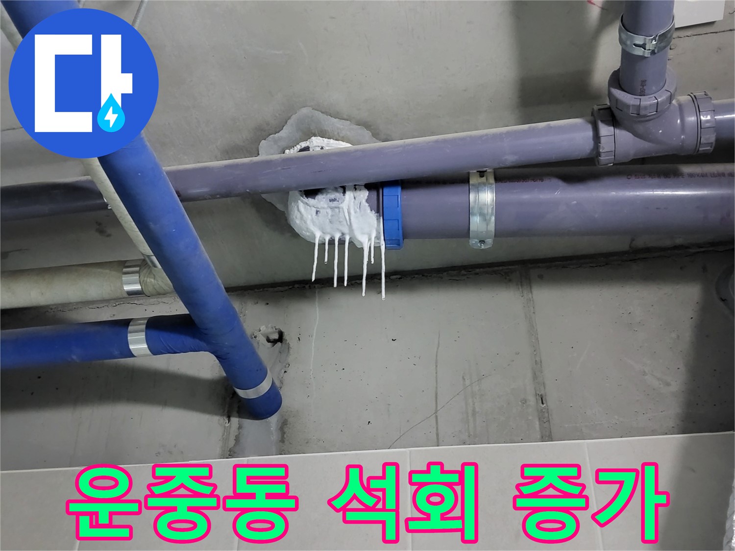분당구 운중동 하수 누수 - 벽 젖은 흔적과 석회 침전물 증가