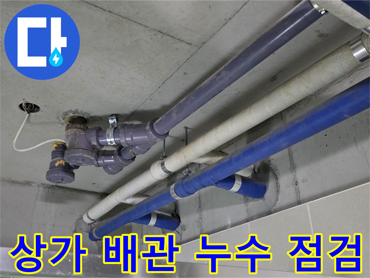 성남 분당 상가 배관 누수 점검 - 꼼꼼한 점검으로 완벽하게 해결