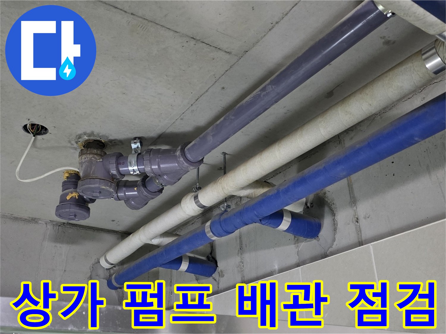 성남 분당 상가 펌프 배관 점검 - 꼼꼼한 점검과 완벽한 해결