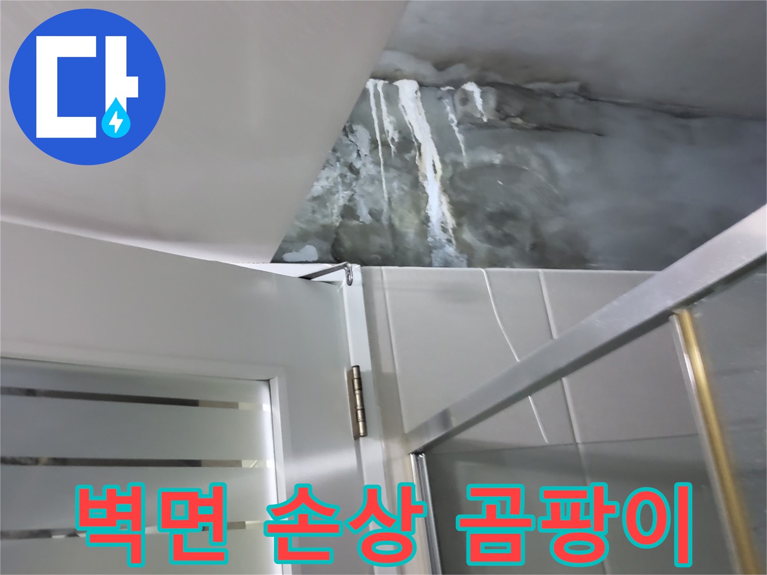 성남 분당 샤워부스 벽면 심각한 손상 및 곰팡이 확산 - 정밀 점검 과정