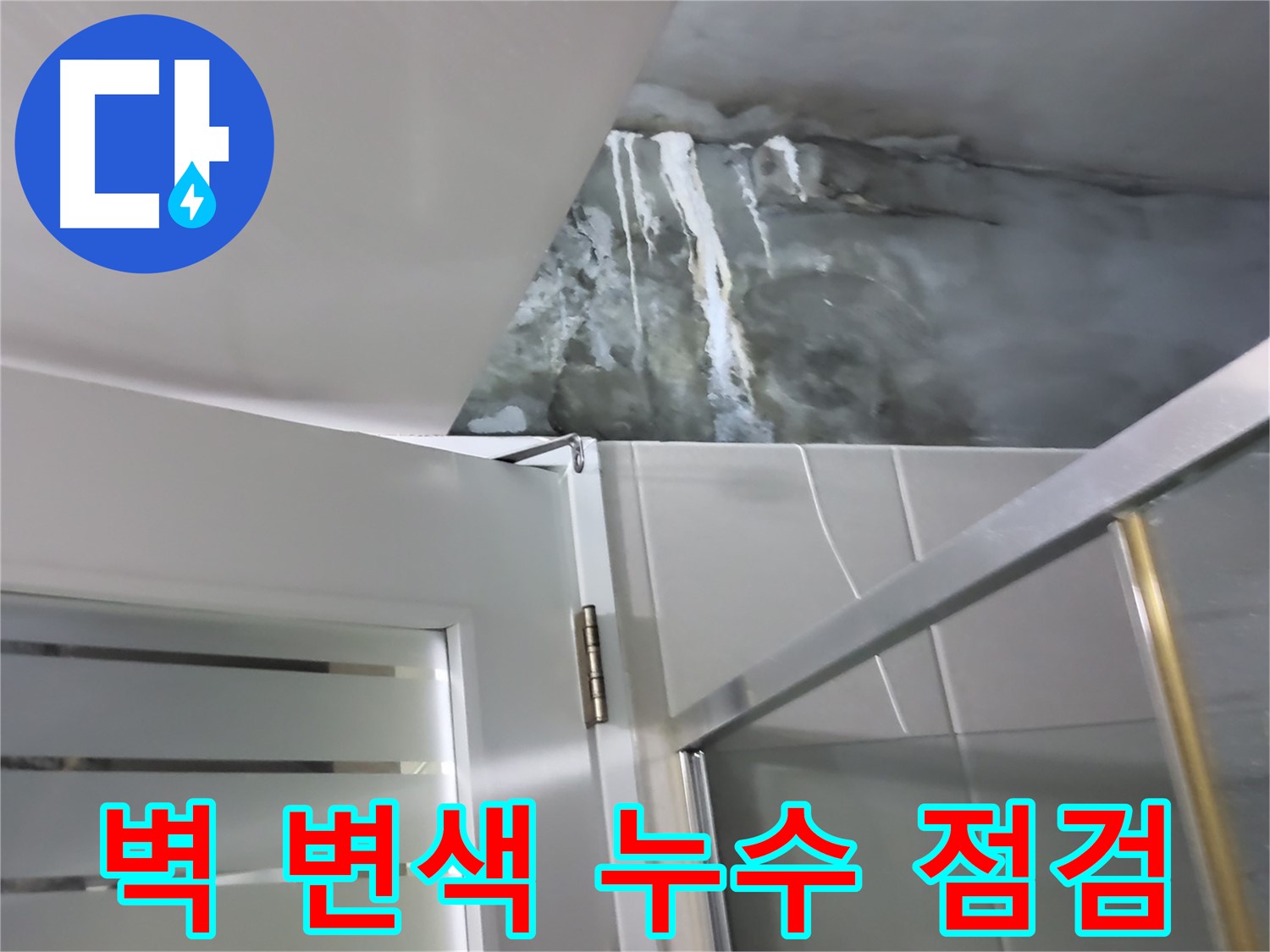 성남 분당 샤워부스 옆 벽면 변색 및 누수 가능성 점검 - 꼼꼼한 확인 과정