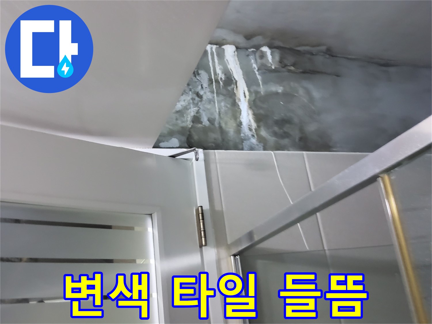 성남 분당 샤워부스 옆 벽면의 변색과 타일 들뜸 집중 점검 - 누수 가능성 확인