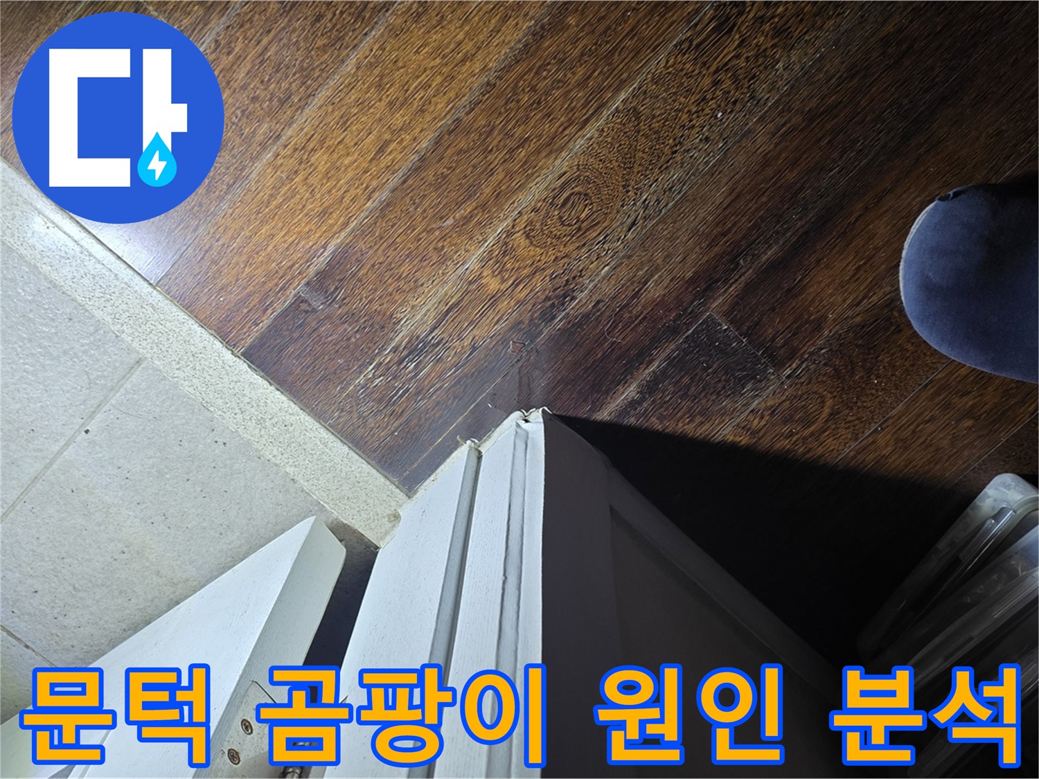 성남 분당 아파트 누수 - 운중동 산운마을 문턱 주변 곰팡이 발생 원인 집중 분석