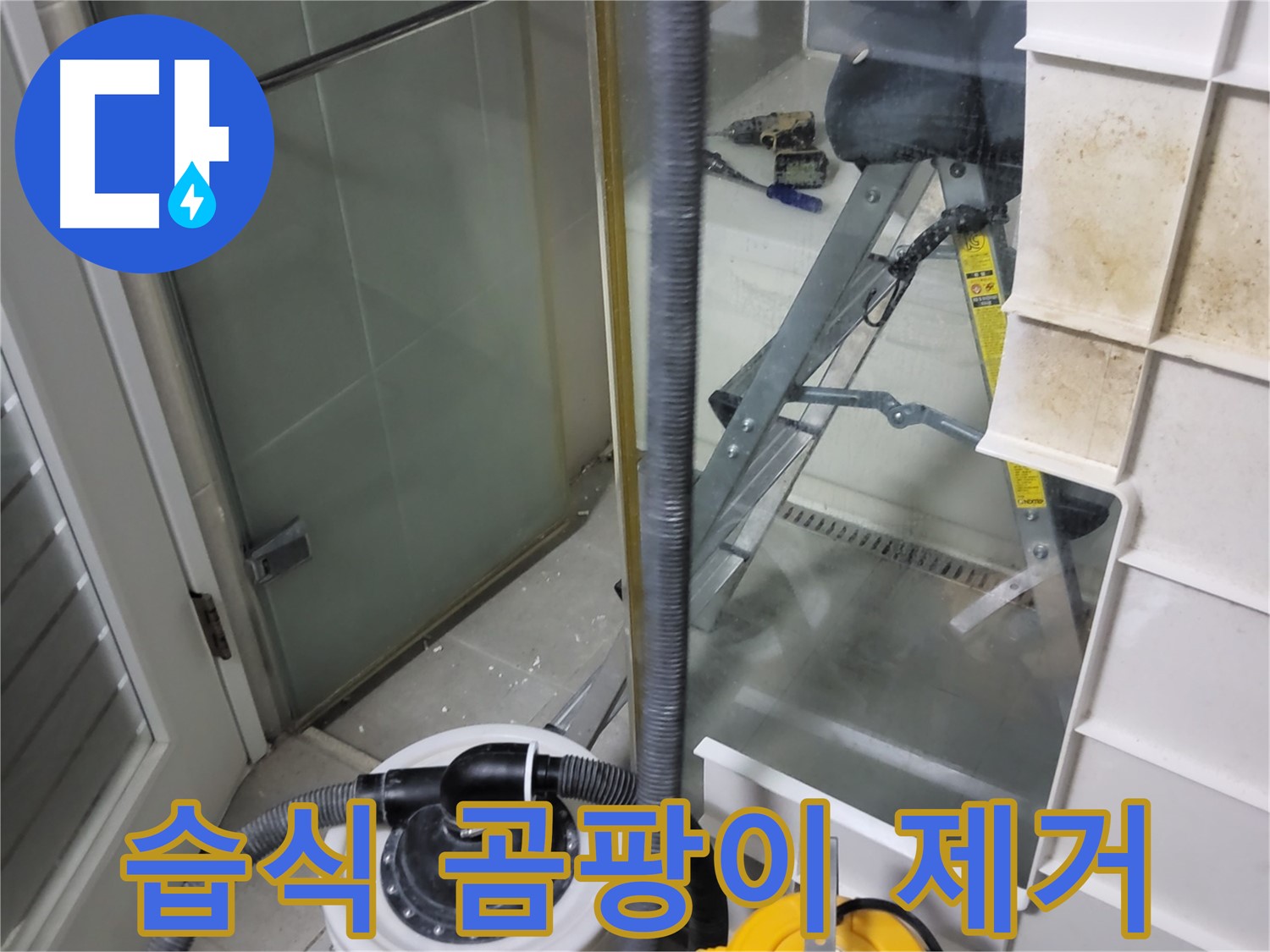 성남 분당 운중동 산운마을 6단지 아파트 습식 누수 - 습식 누수 해결과 함께 곰팡이 제거까지 한번에 해결하여 쾌적한 환경을 만들어 드립니다.