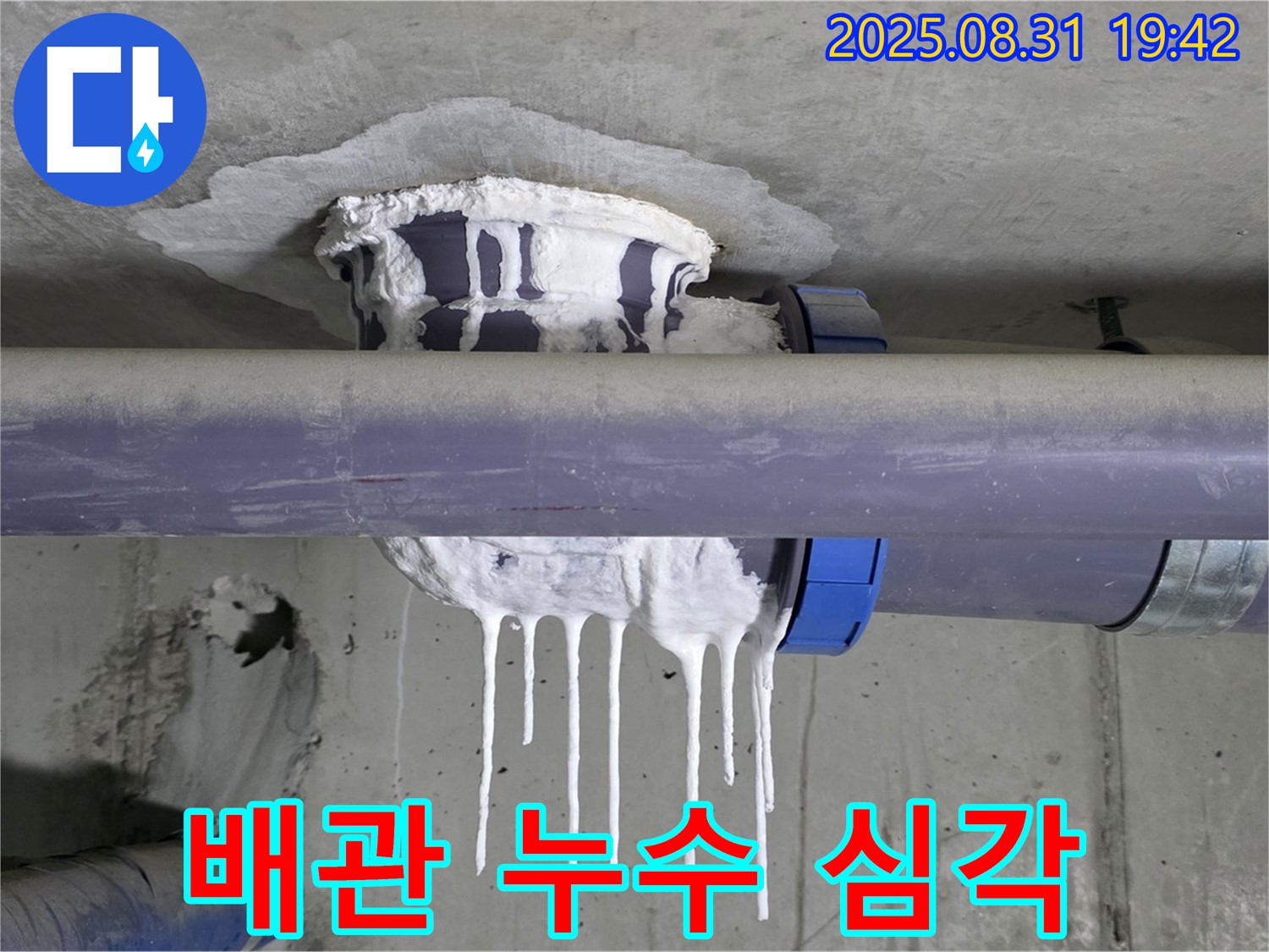 성남 분당 운중동 산운마을 배관 누수 - 배관에서 물이 뚝뚝 떨어지는 긴급 상황 - 완벽 해결 보장