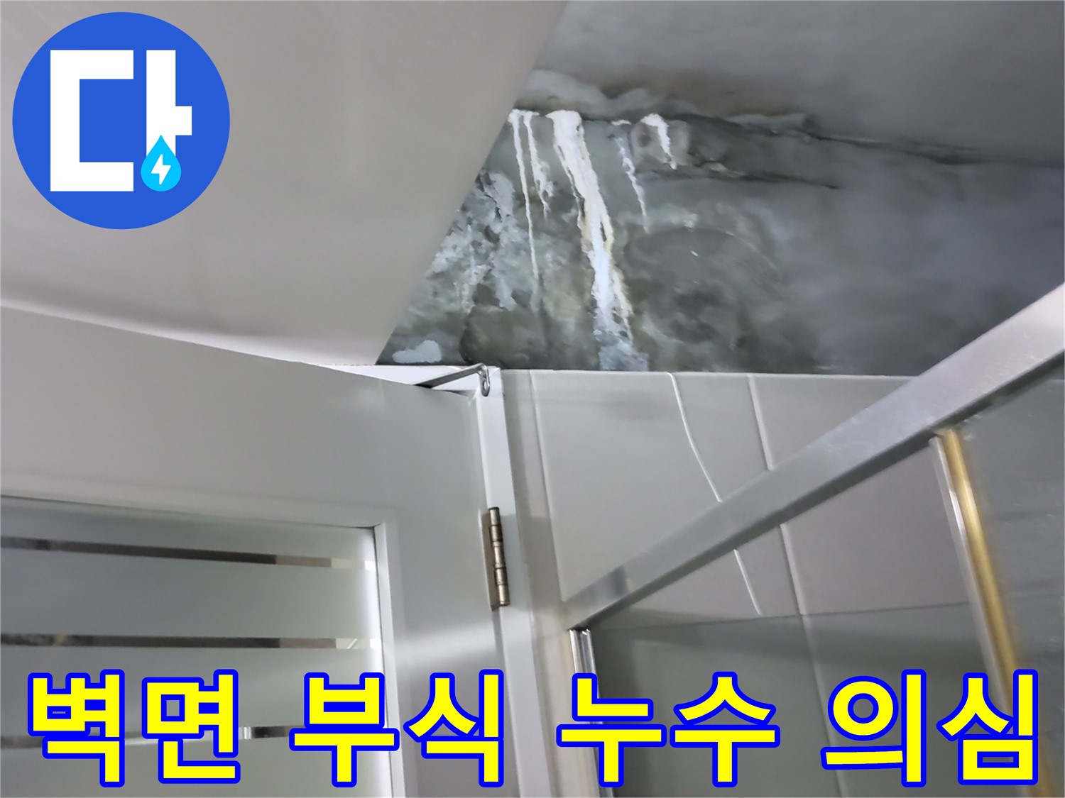 성남 분당 운중동 아파트 샤워부스 벽면 부식 및 누수 의심 - 정밀 점검 과정