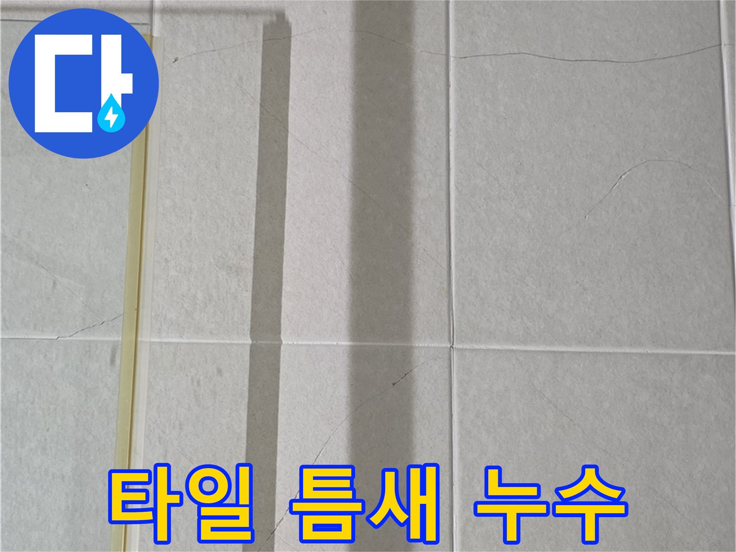 성남시 분당 샤워기 누수 - 벽 타일 틈새로 물 스며듦 주의