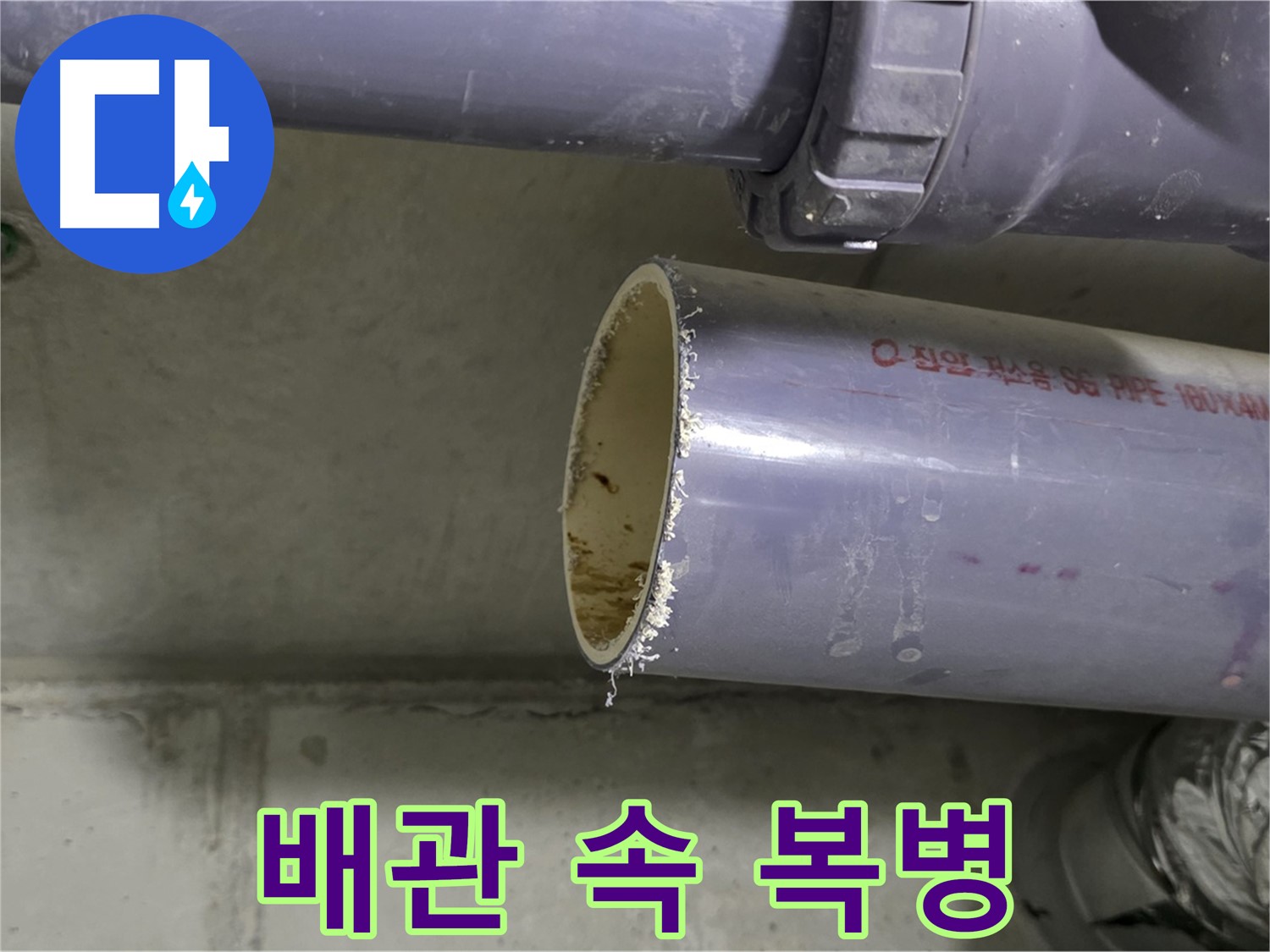 성남시 분당구 누수 현장 - 배관 속에서 나온 이물질을 보여주는 사진 - 누수의 숨겨진 원인을 보여줍니다.