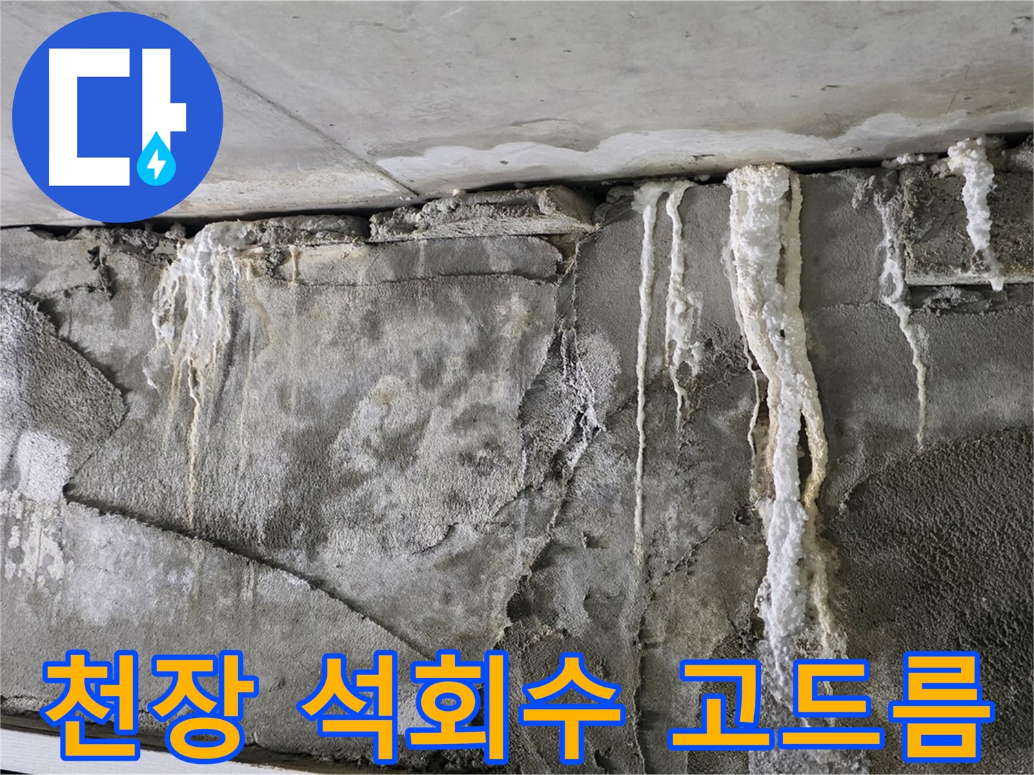 운중동 누수 - 천장 석회수 고드름, 붕괴 직전
