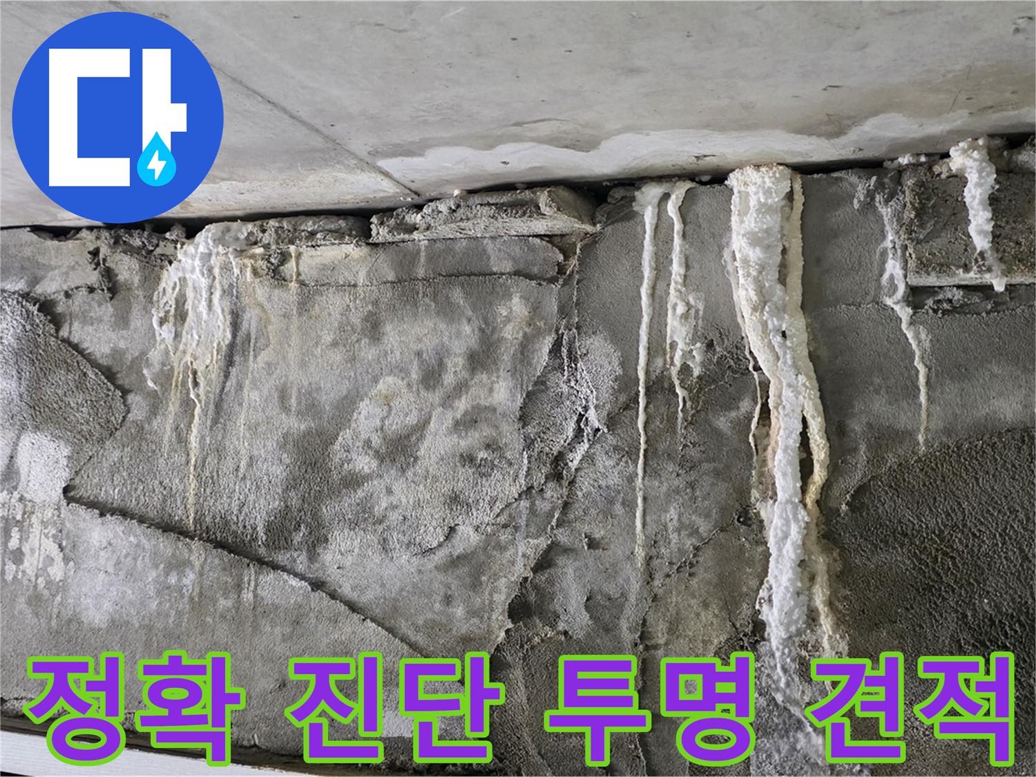 운중동 누수 탐지 - 정확한 진단과 투명한 견적, 고객 만족도 최고