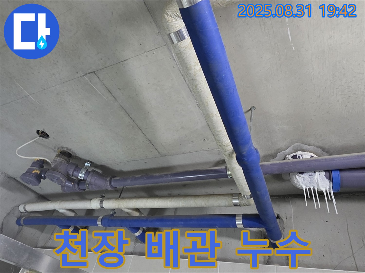 운중동 산운마을 6단지 아파트 천장 배관 누수 현장 - 정확한 누수 탐지와 꼼꼼한 시공으로 누수 걱정 없이!