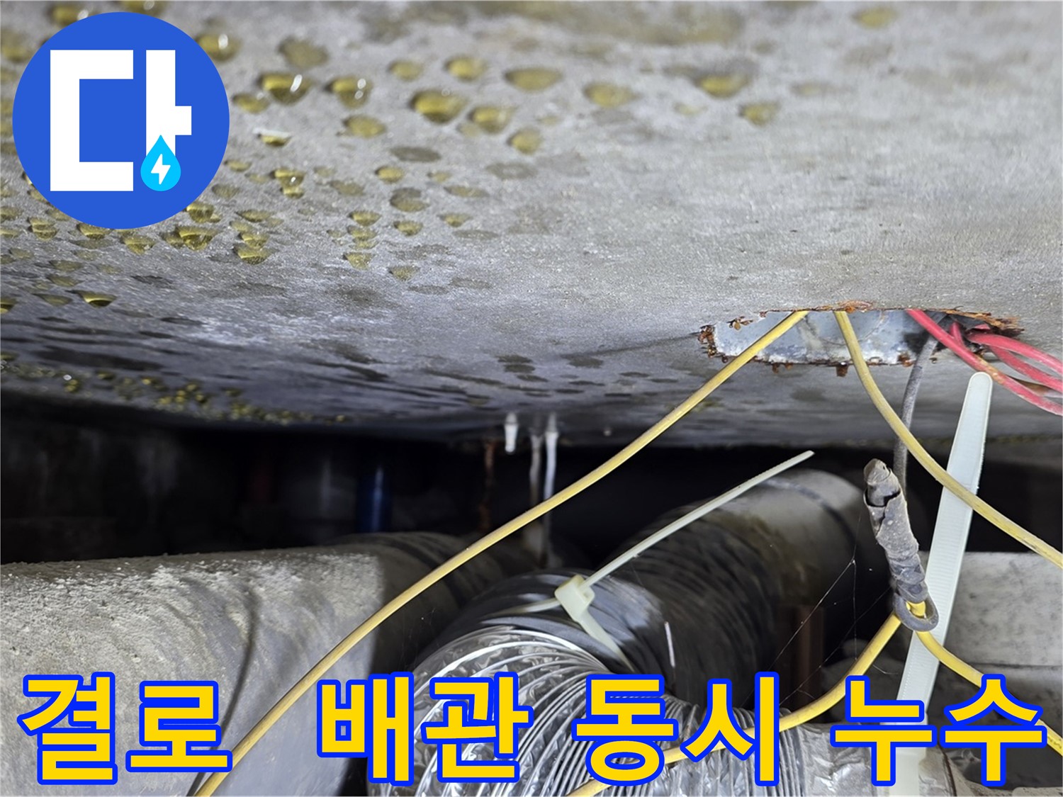 광진구 능동 빌라 누수 - 천장 결로와 배관 누수 동시 발생