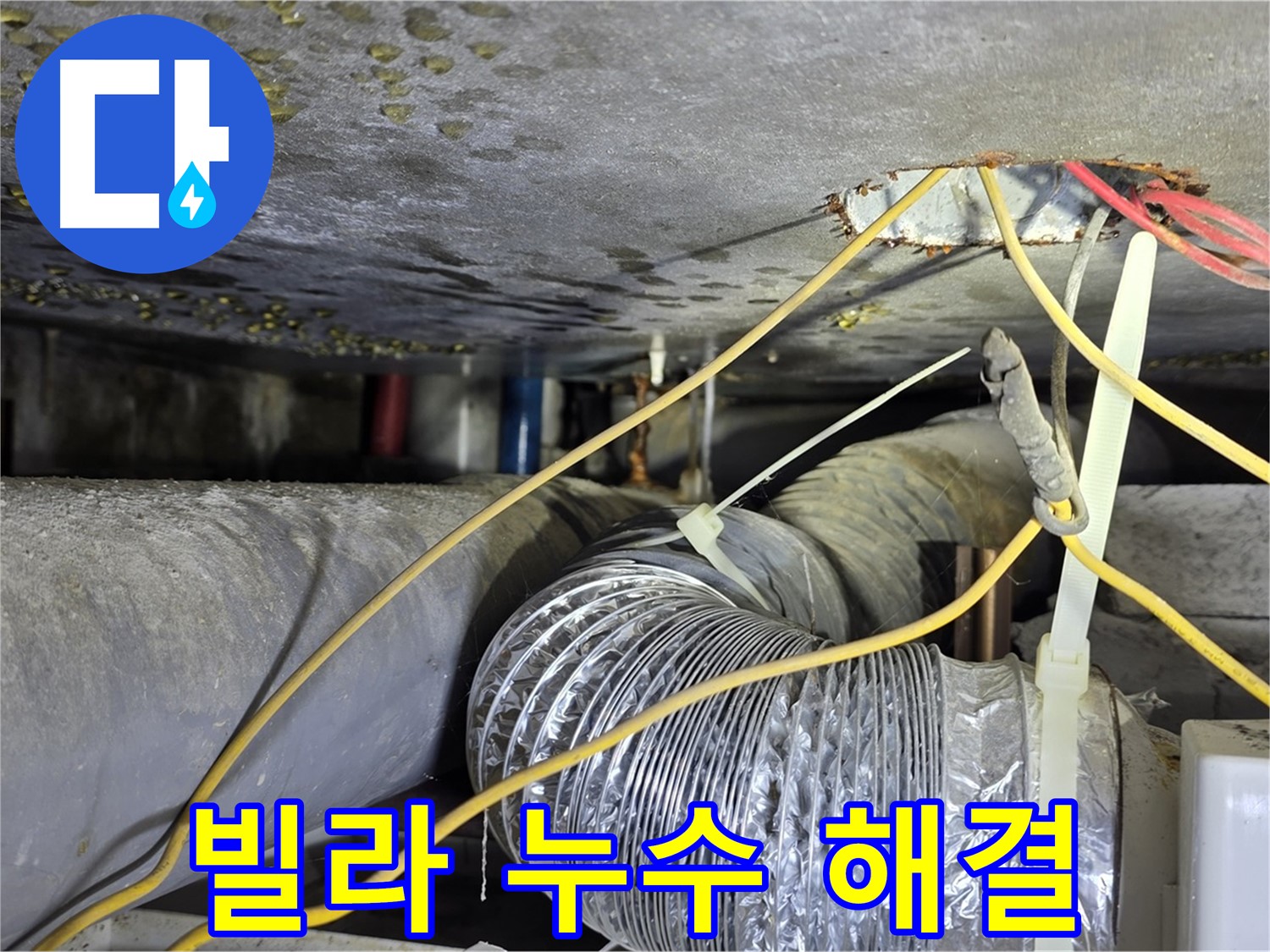 광진구 능동 빌라 천장 누수 해결 - 누수 원인 탐색부터 보수 완료까지 상세 과정