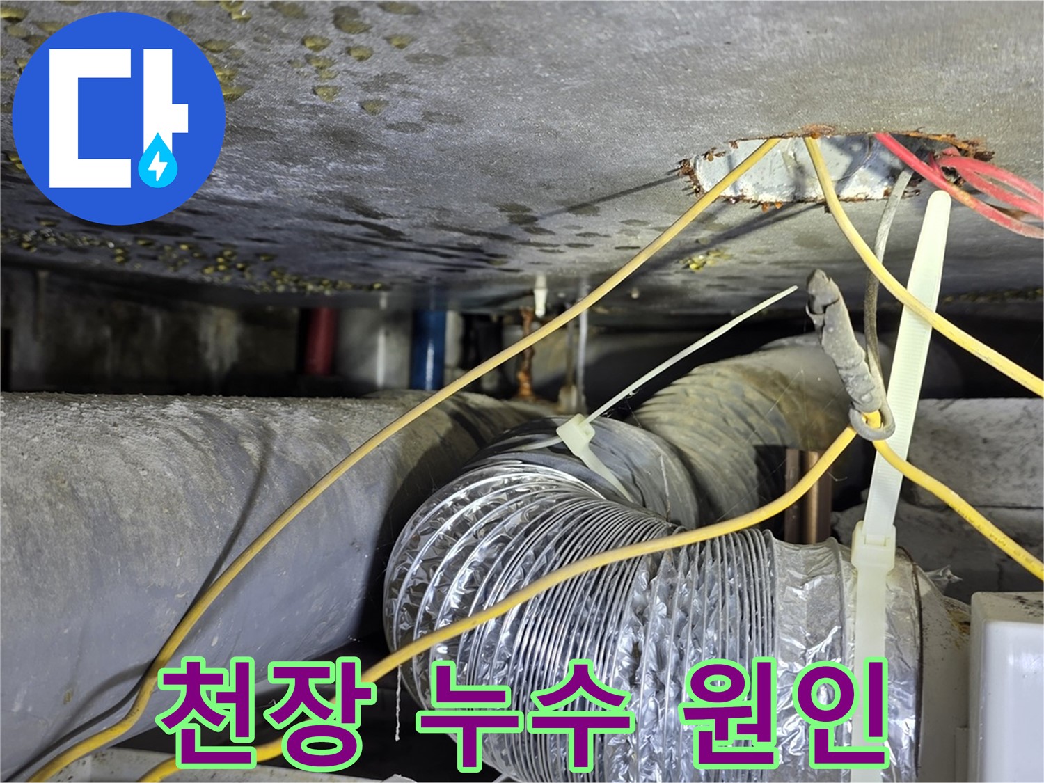 광진구 능동 아성빌라트 천장 누수 - 누수 원인 탐지 및 해결 과정 상세 촬영