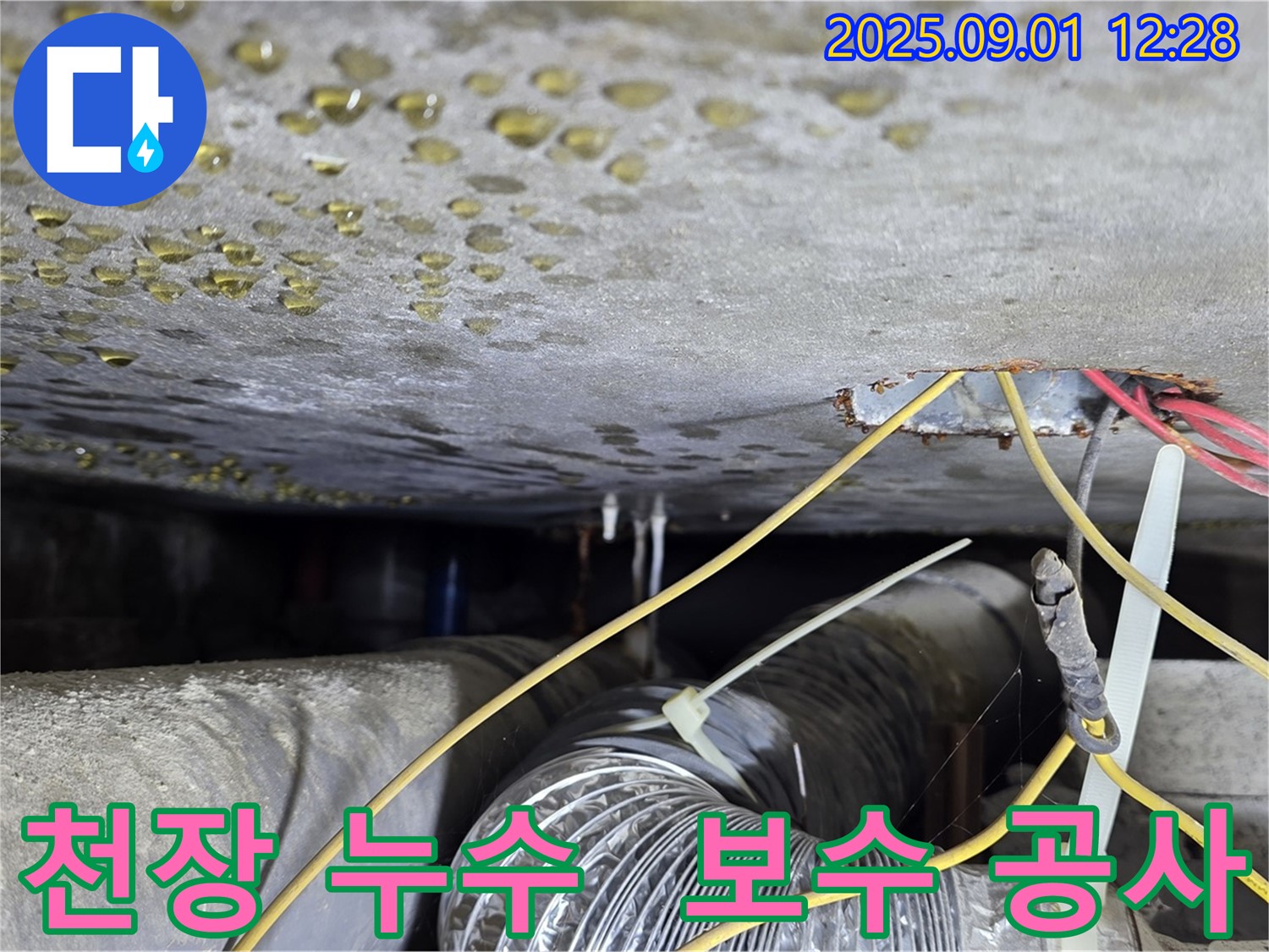 광진구 능동 주택 천장 누수 - 꼼꼼한 보수 공사로 누수 완벽 해결