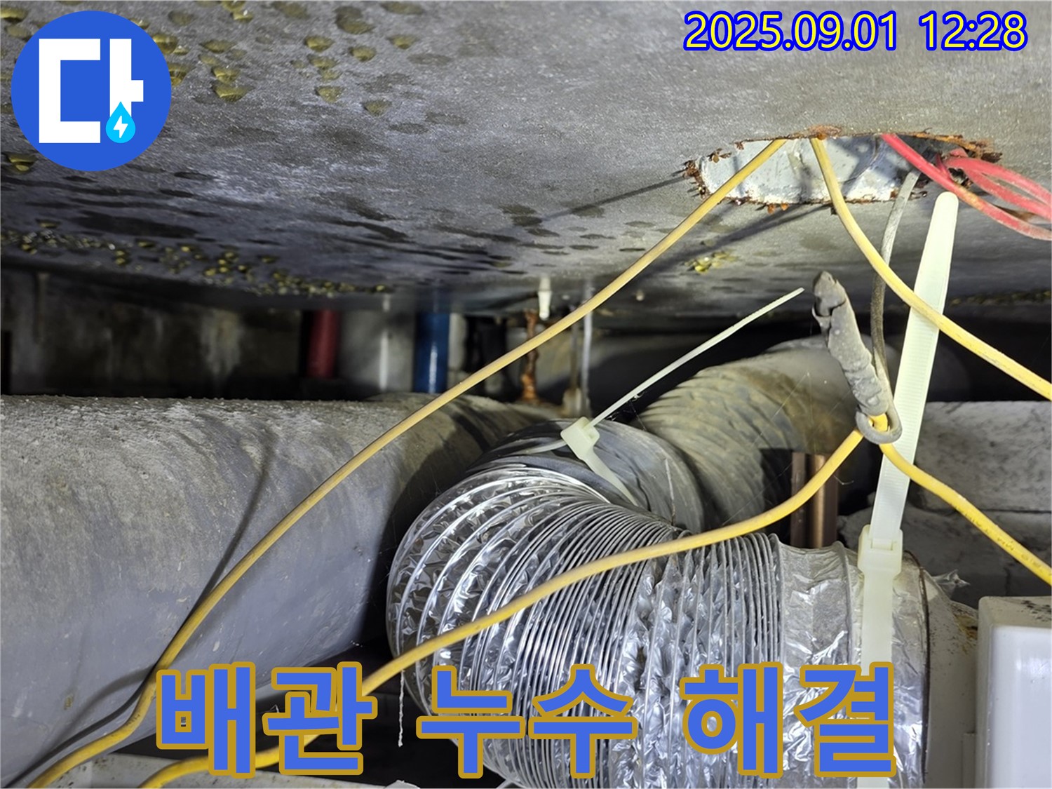 광진구 능동 천장 배관 누수 - 전문가의 손길로 완벽하게 해결