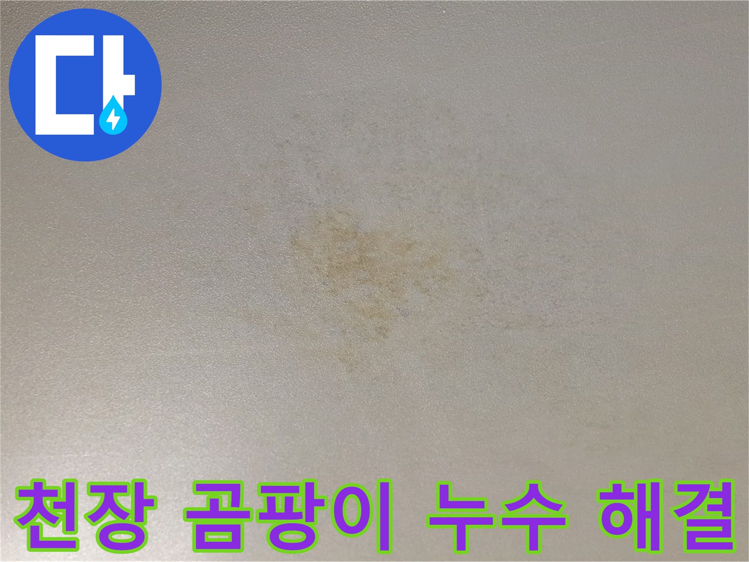 천장 곰팡이 - 능동 아성빌라 누수 해결, 건강 위협