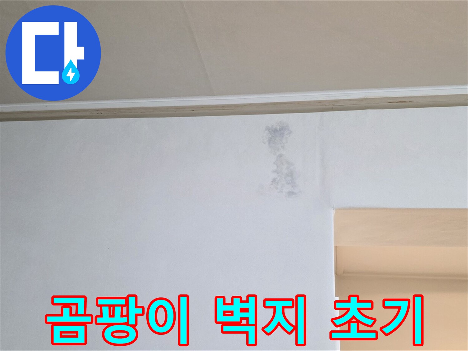 곰팡이 벽지 - 누수 초기 증상으로 나타나는 곰팡이 벽지의 모습입니다. 빠른 탐지가 중요합니다.