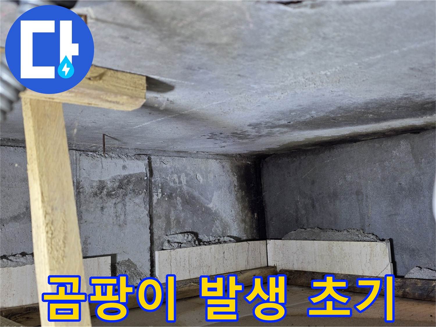 누수 부위 주변 곰팡이 발생 초기 단계 - 건강에 해로울 수 있음