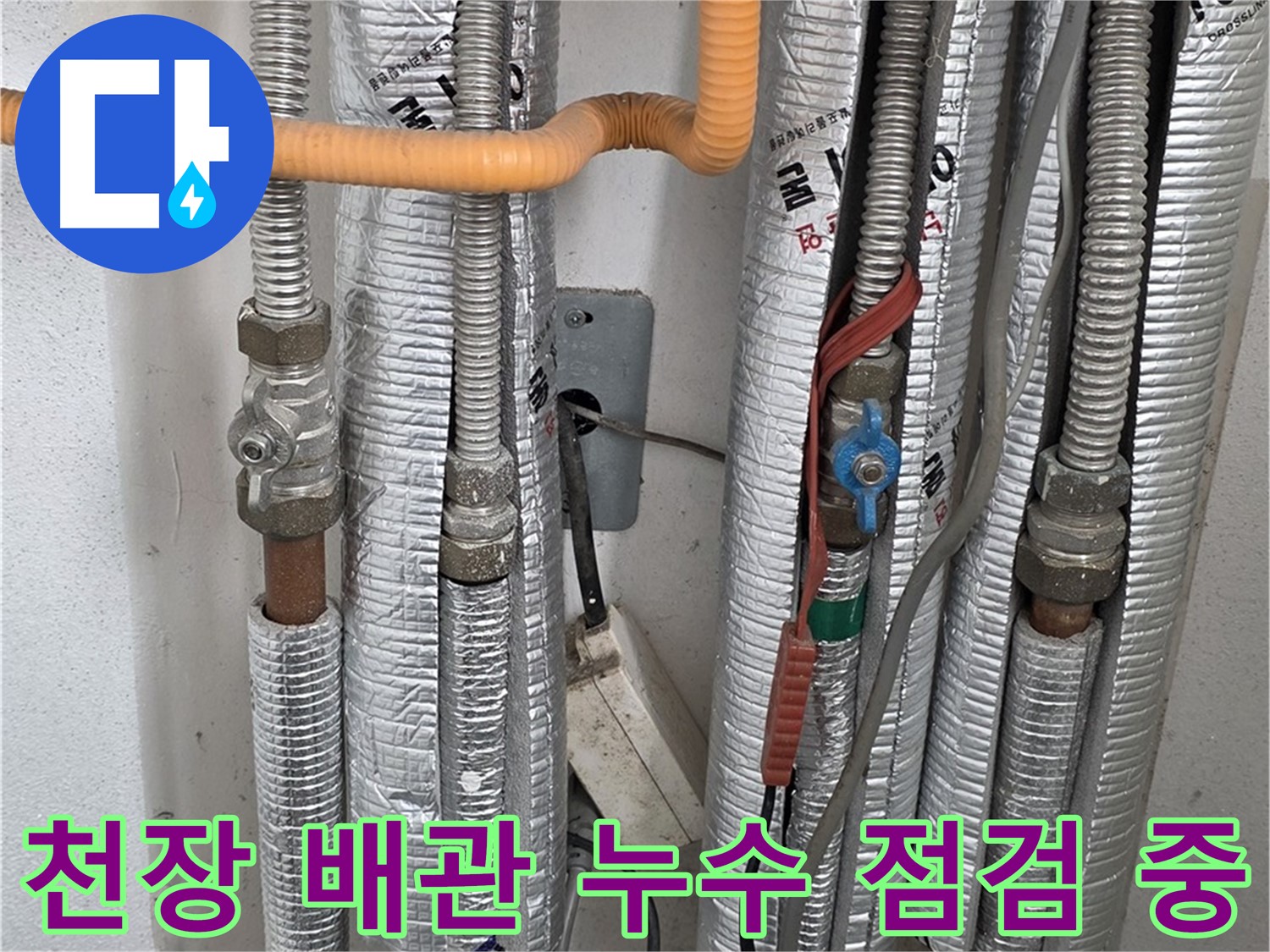 포천 일동 기산리 아파트 천장 배관 누수 점검 중 - 꼼꼼한 확인으로 문제 해결.
