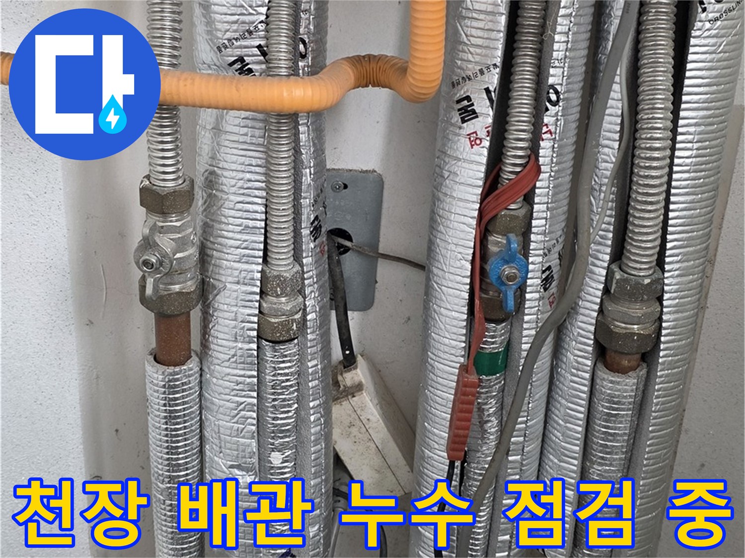 포천 일동 기산리 아파트 천장 배관 누수 점검 중 - 꼼꼼한 확인으로 문제 해결.