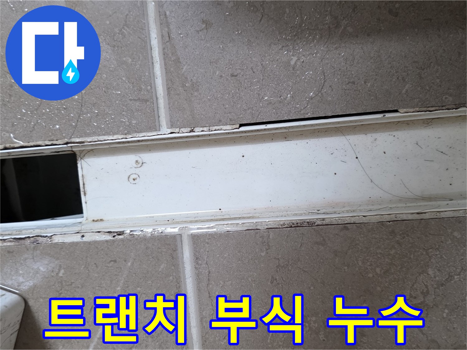 화장실 샤워부스 트랜치 부식 사진 - 트랜치 상태 불량