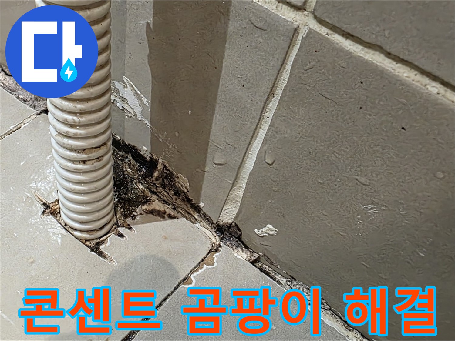용산구 상가 누수 - 콘센트 배관 주변 곰팡이 문제 해결 전문가