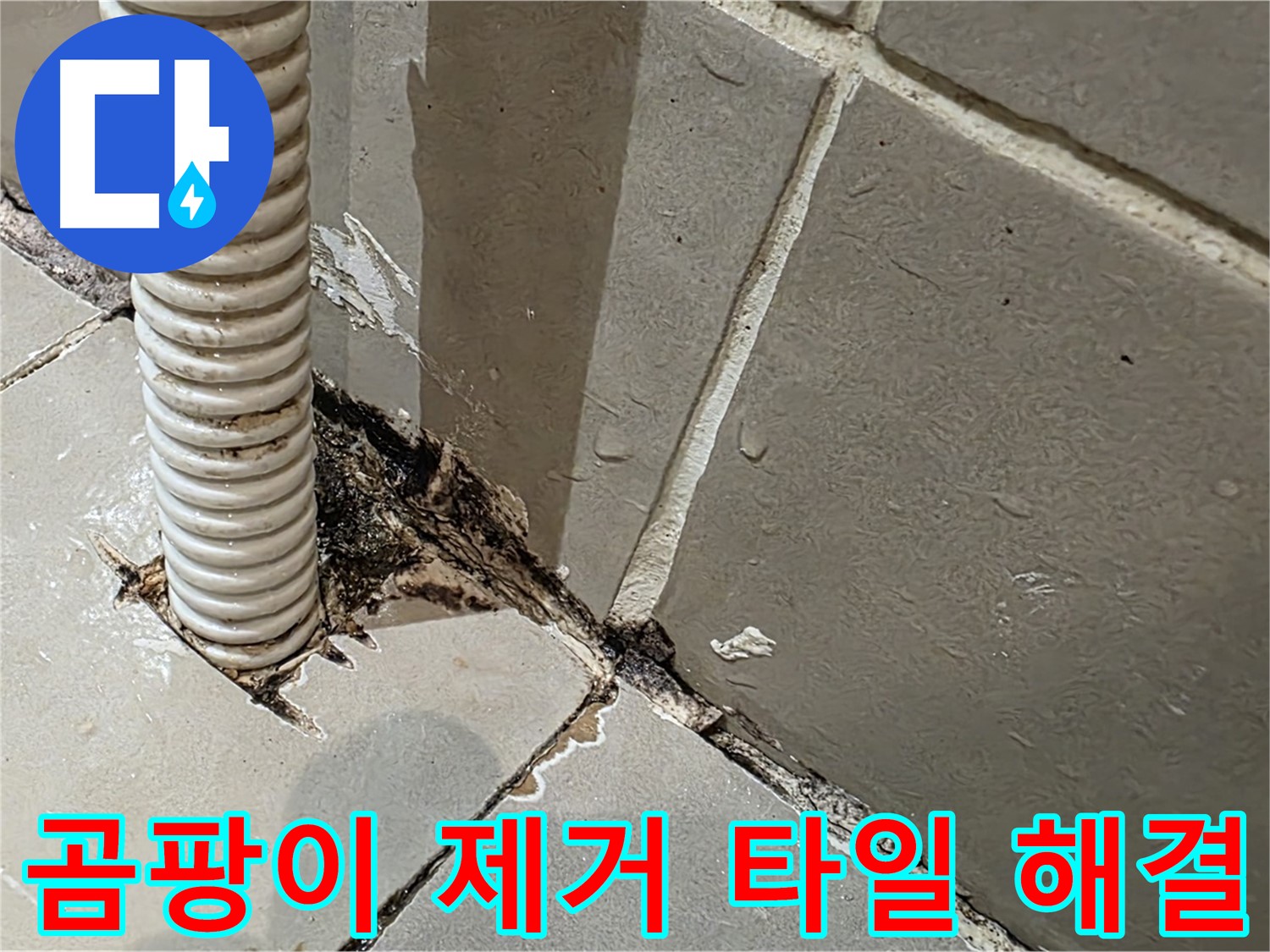 용산구 상가 화장실 누수 - 배관 주변 곰팡이 제거 및 타일 들뜸 완벽 해결