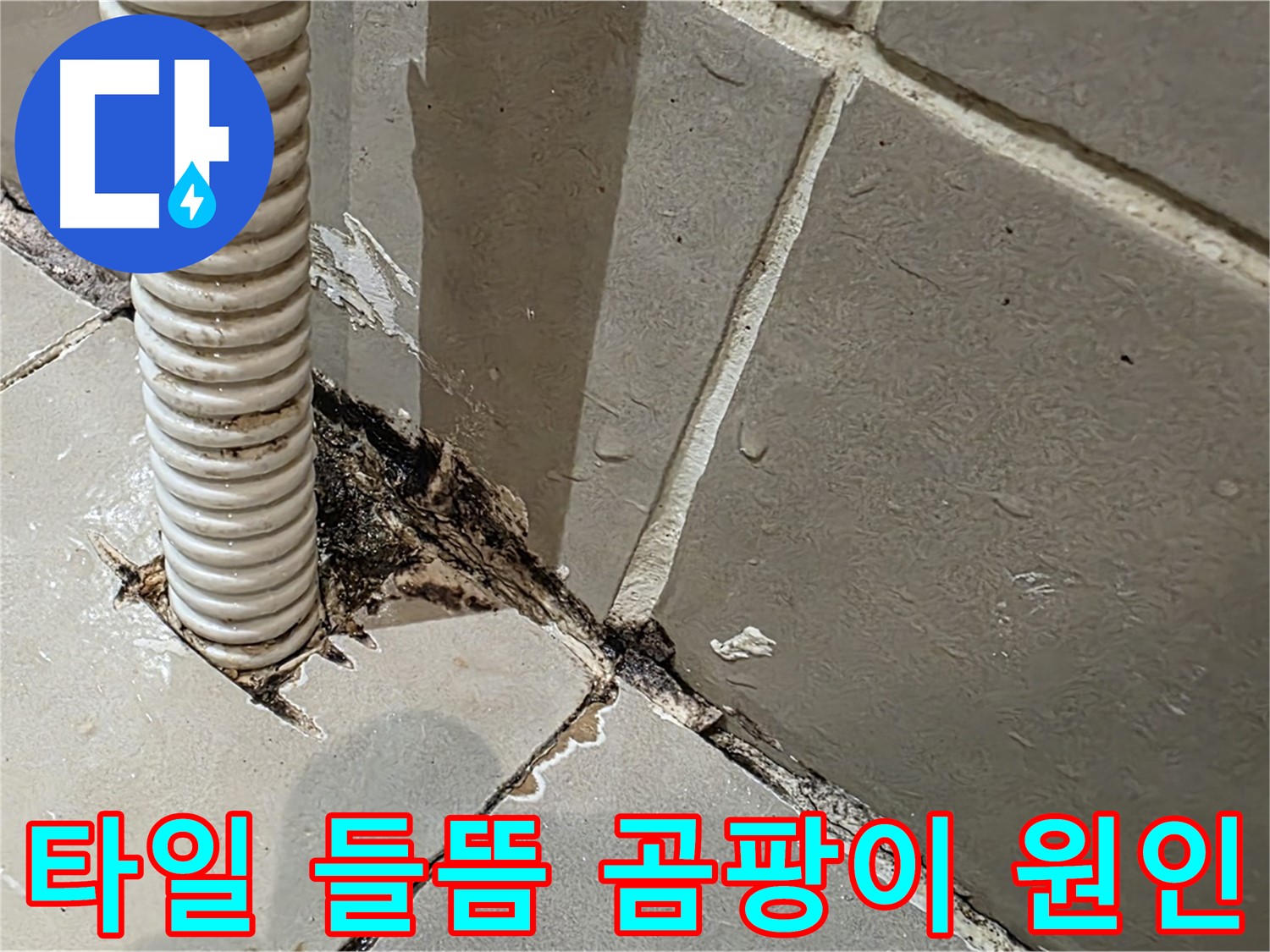 용산구 상가 화장실 누수 - 배관 주변 타일 들뜸과 곰팡이 발생 원인 분석