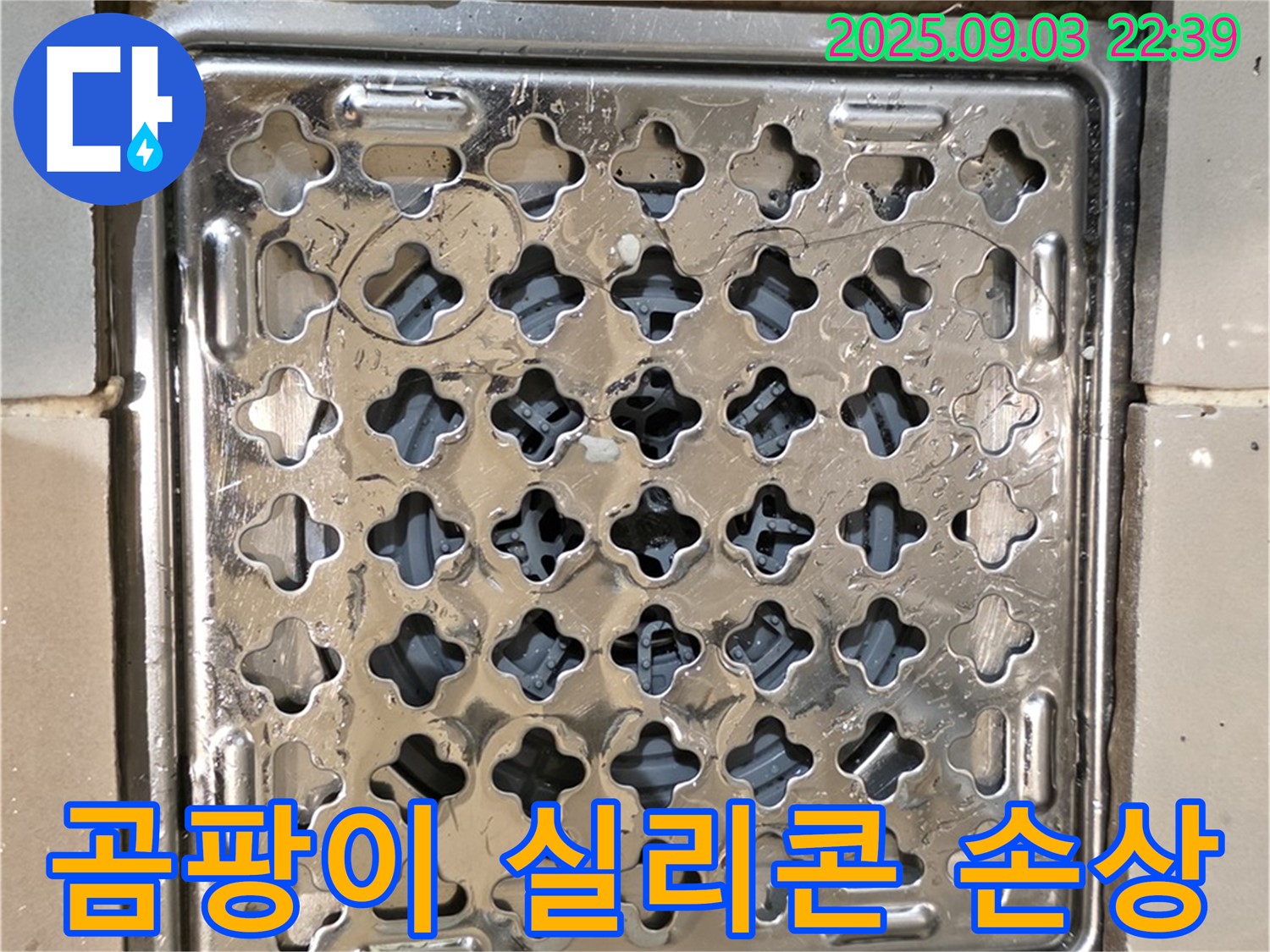 용산구 용산동2가 욕실 - 배수구 주변 곰팡이와 실리콘 손상으로 인한 누수 발생 가능성