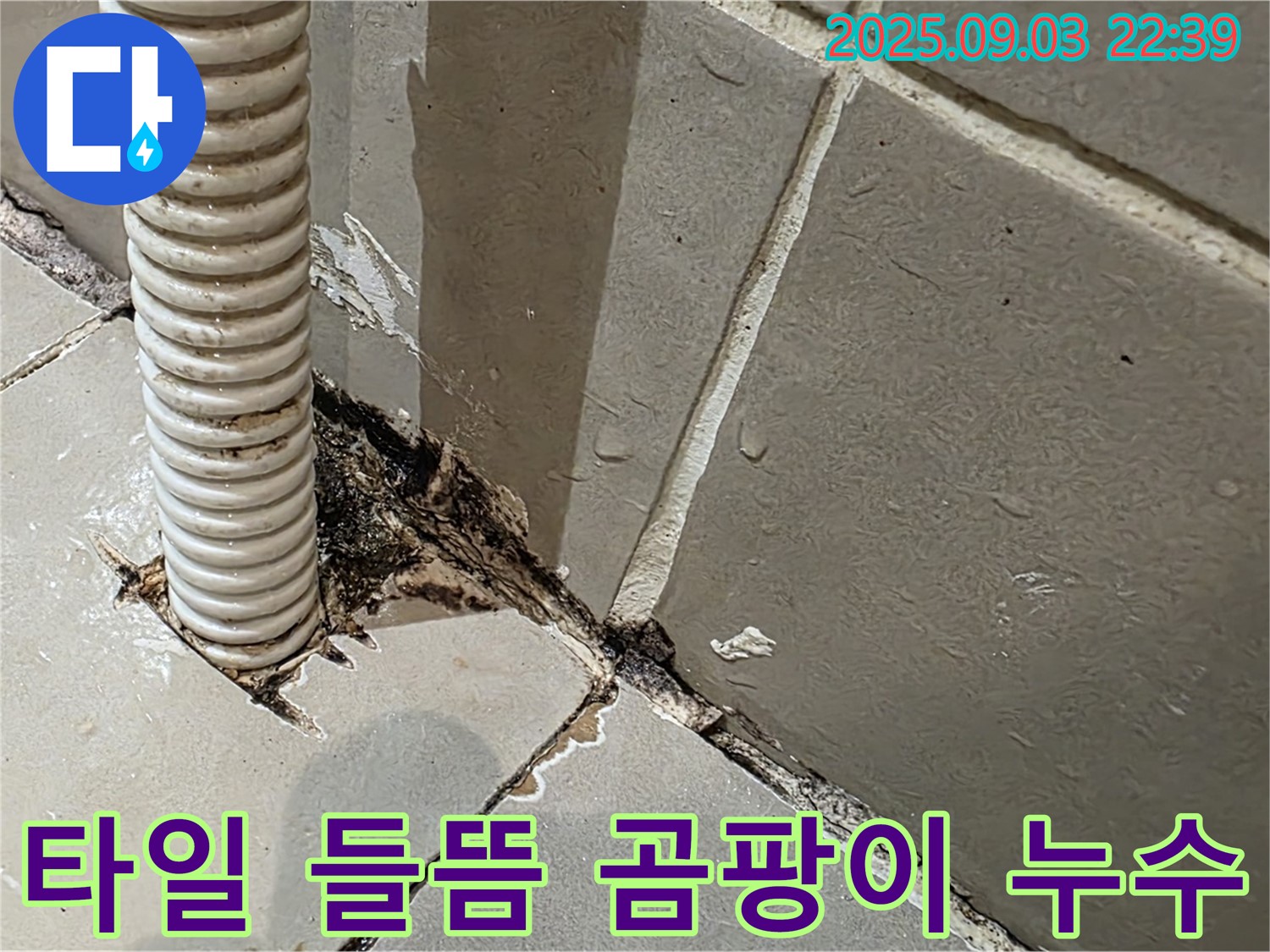 한강로2가 누수 - 타일 들뜸과 곰팡이를 누수 신호로 판단하고, 정확한 원인 파악을 위해 점검했습니다.