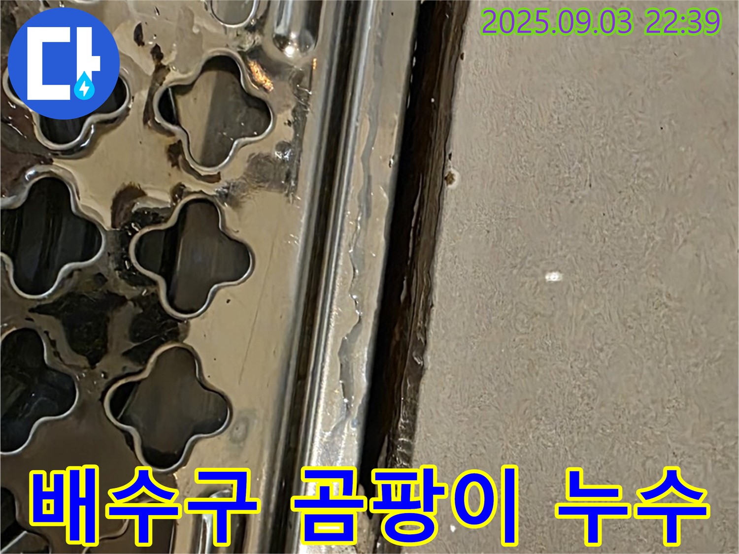 한강로2가 욕실 배수구 주변 곰팡이 - 습기와 누수로 인한 곰팡이 번식