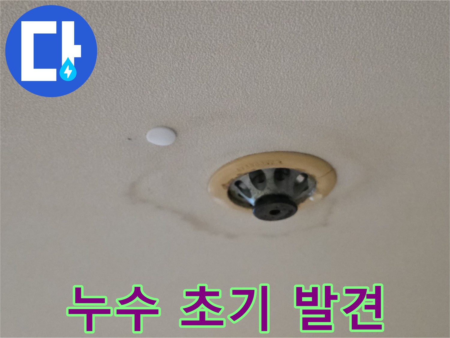 누수 초기 발견 - 천장 미세 얼룩