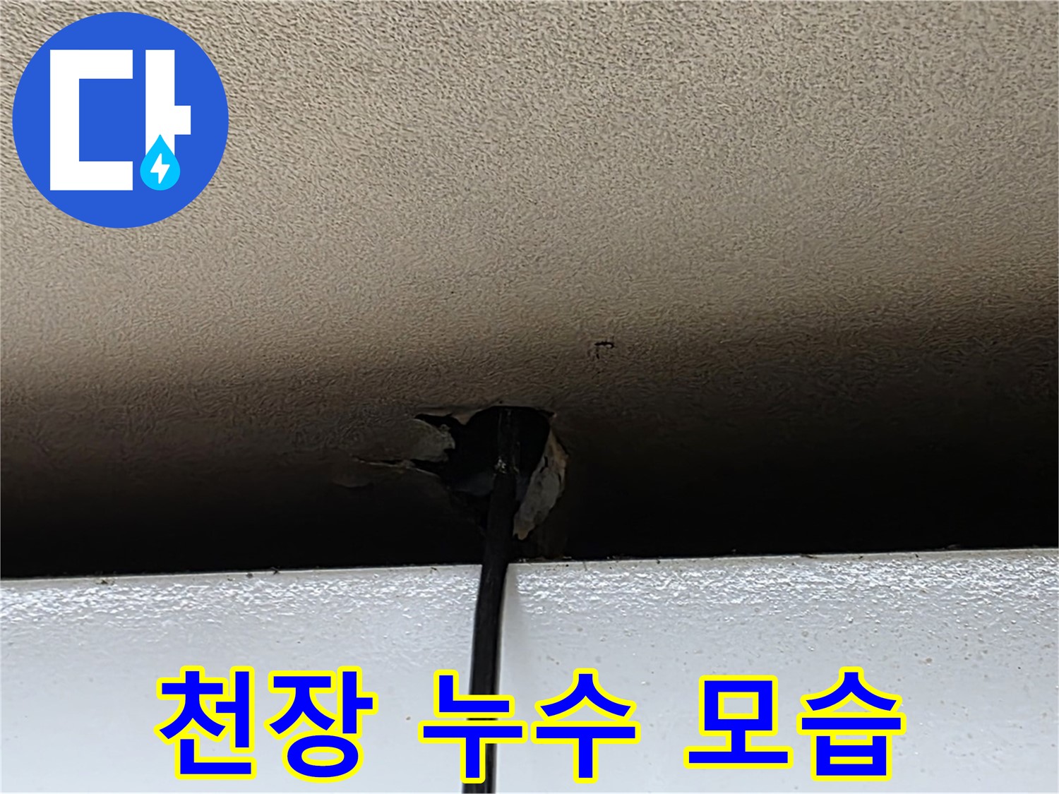 동대문구 장안동 누수 - 심각한 천장 누수 모습 확인