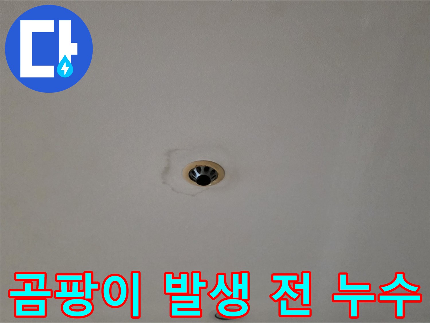 동대문구 장안동 르.메이에르 장안타운 천장 누수 - 곰팡이 발생 전 조치가 중요합니다.