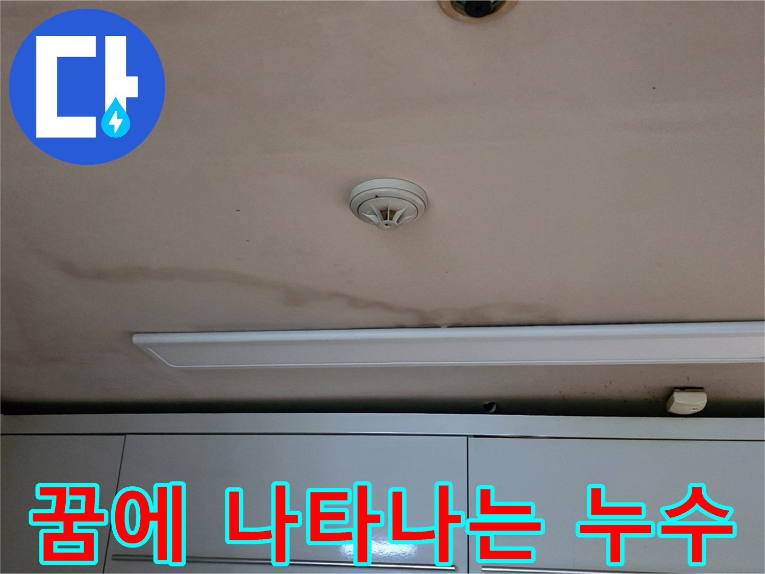 장안동 르.메이에르 장안타운 누수 - 누수, 꿈에 나타나는 이유는 뭘까요?