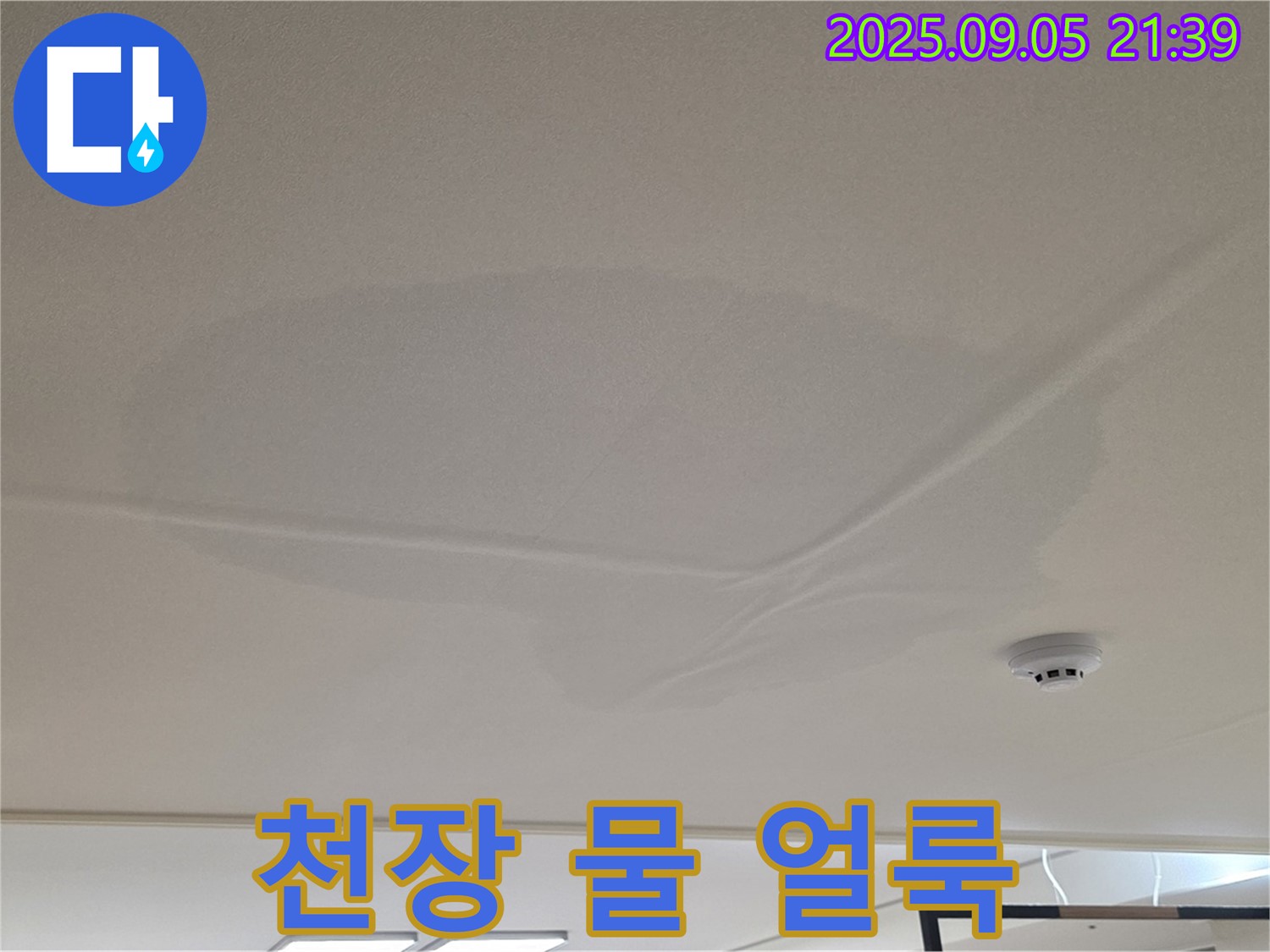 중랑구 면목동 아파트 천장 누수 - 젖은 천장과 물 얼룩