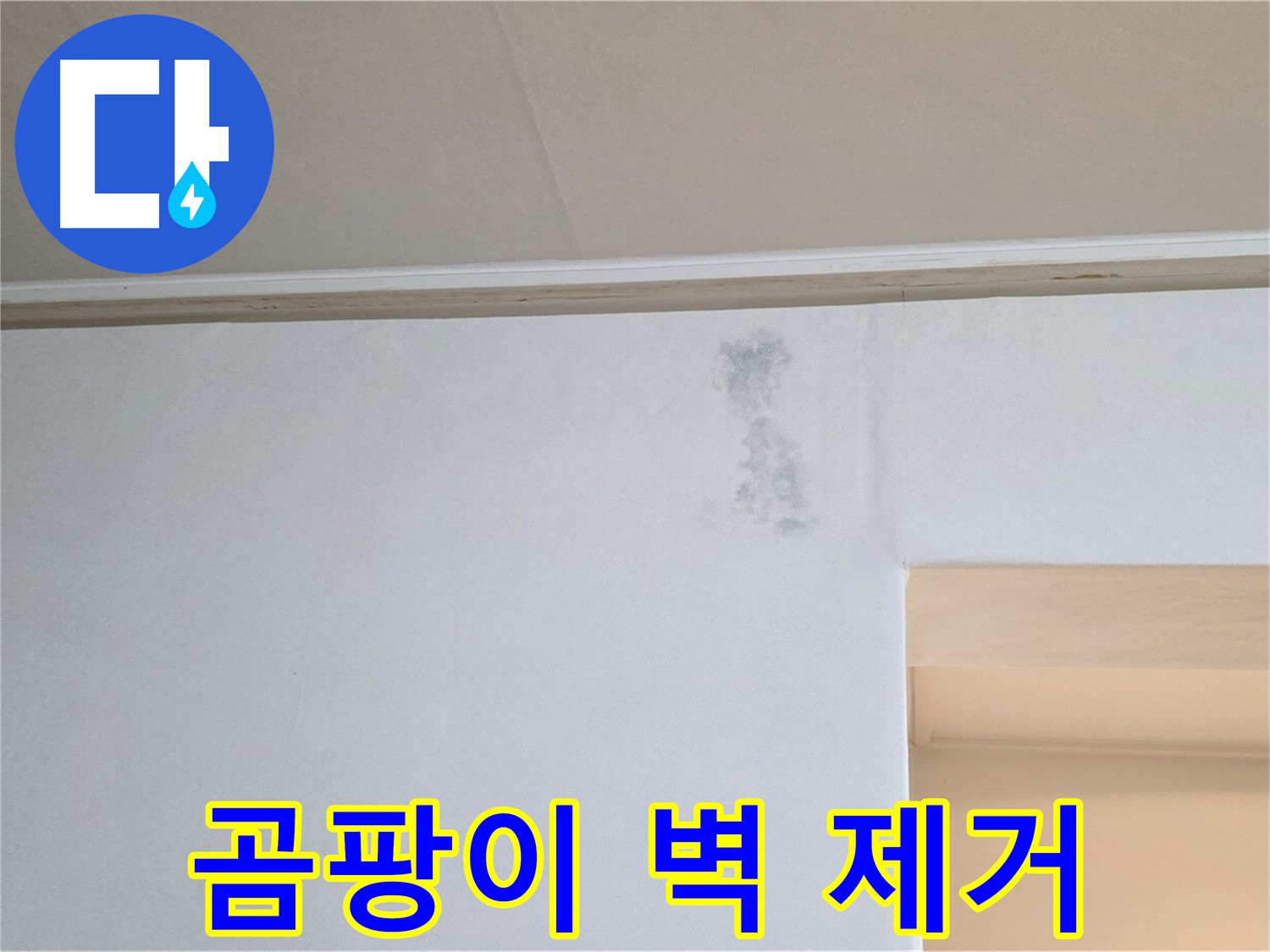 곰팡이 얼룩 벽 제거 - 쾌적한 공간