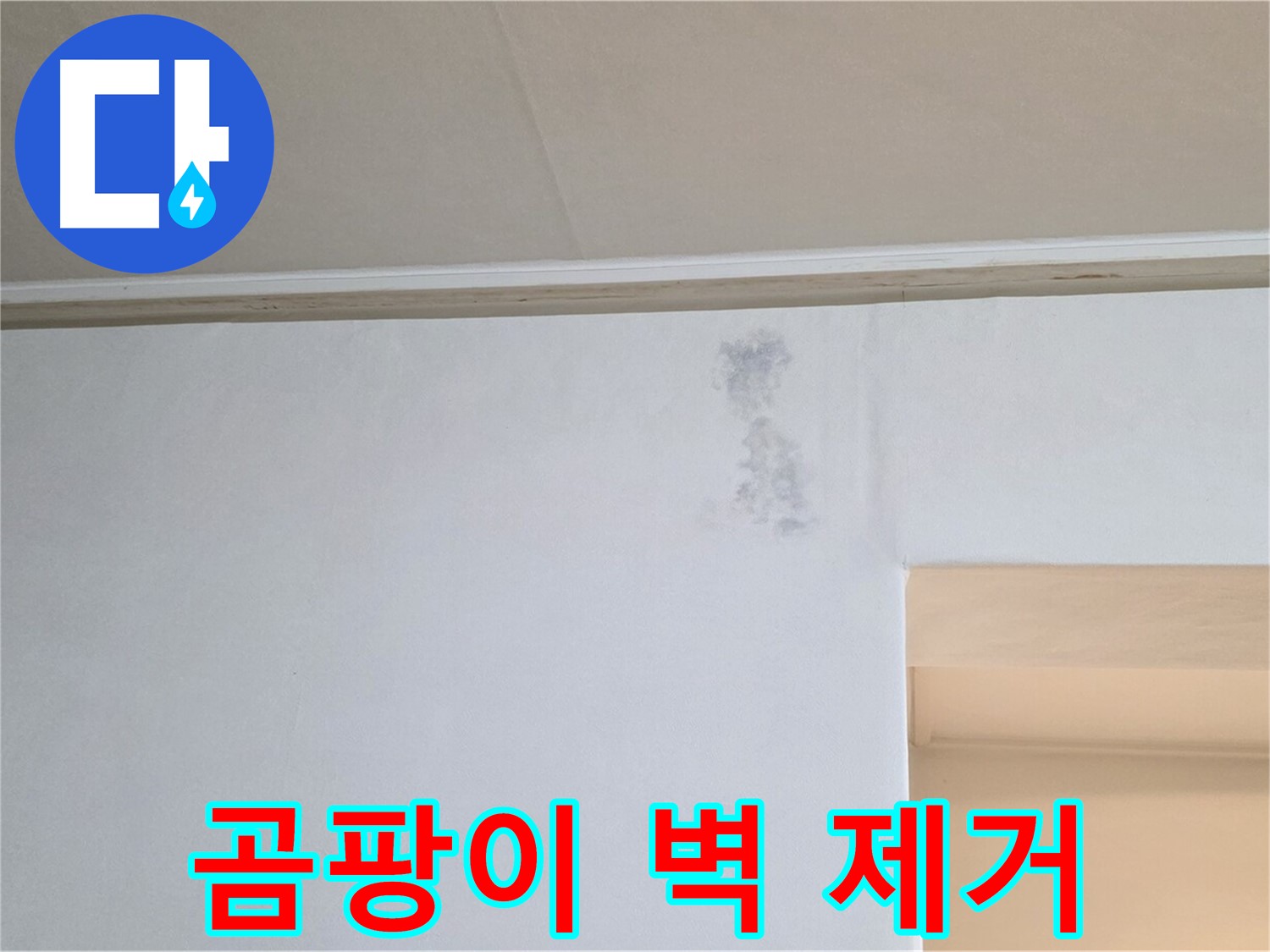 곰팡이 얼룩 벽 제거 - 쾌적한 공간