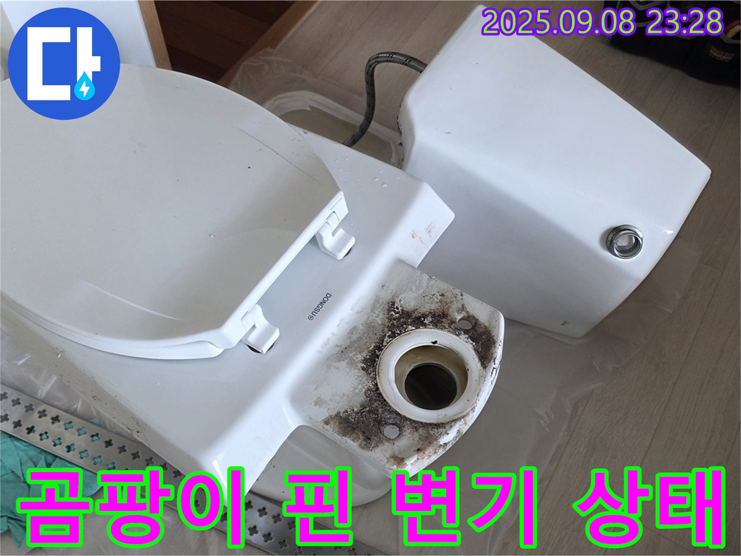 곰팡이 핀 변기 상태 - 오래된 변기 하부에 곰팡이가 심하게 핀 모습