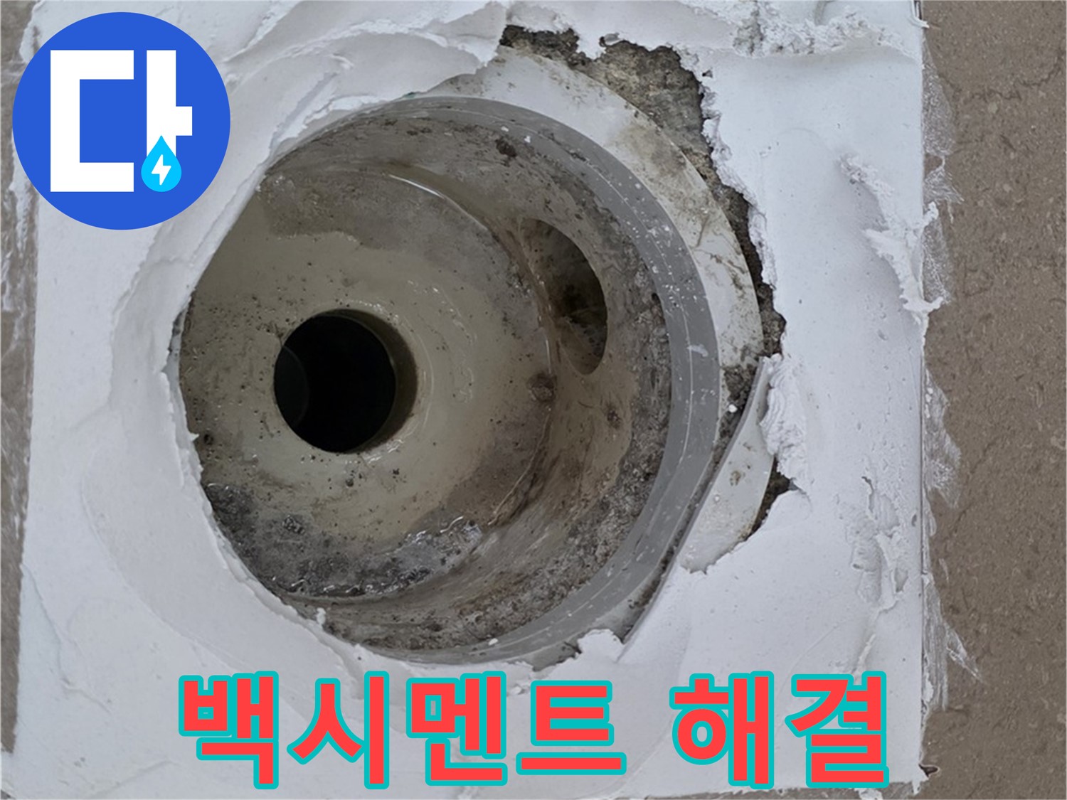 깨진 타일 주변 백시멘트 보수 작업 - 누수 문제 완벽 해결