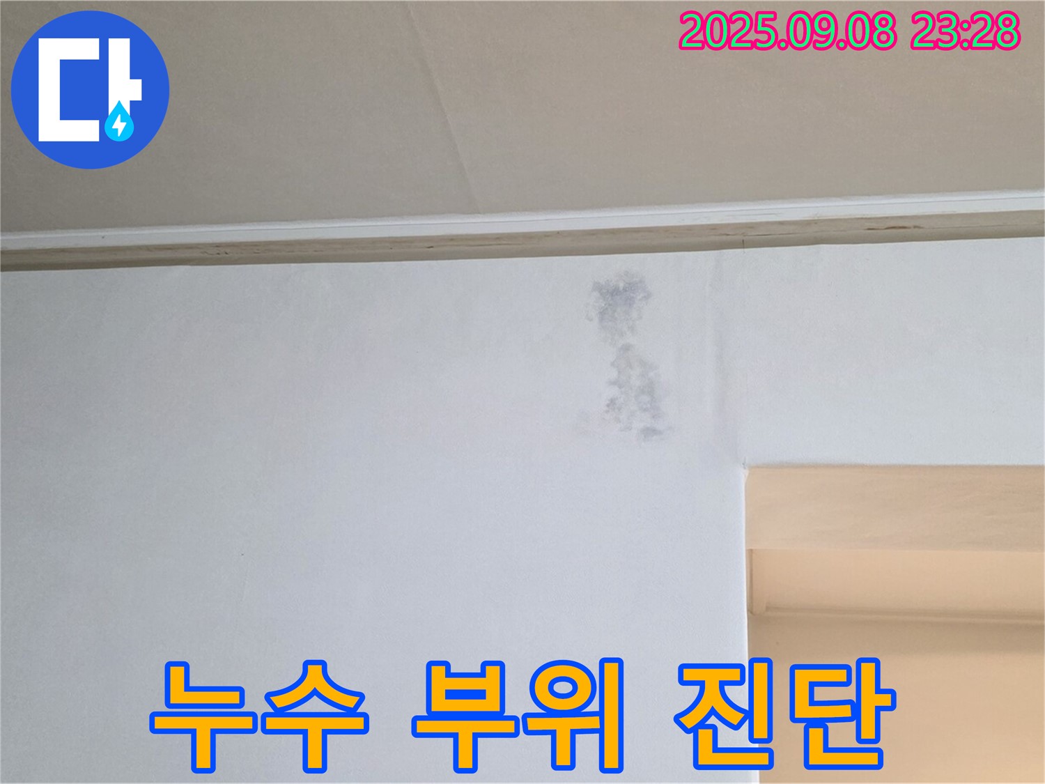 누수 부위 정밀 진단 - 첨단 장비를 사용하여 정확한 누수 지점을 찾습니다.